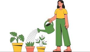Plant Care for Dummies (Or Beginners)&nbsp;