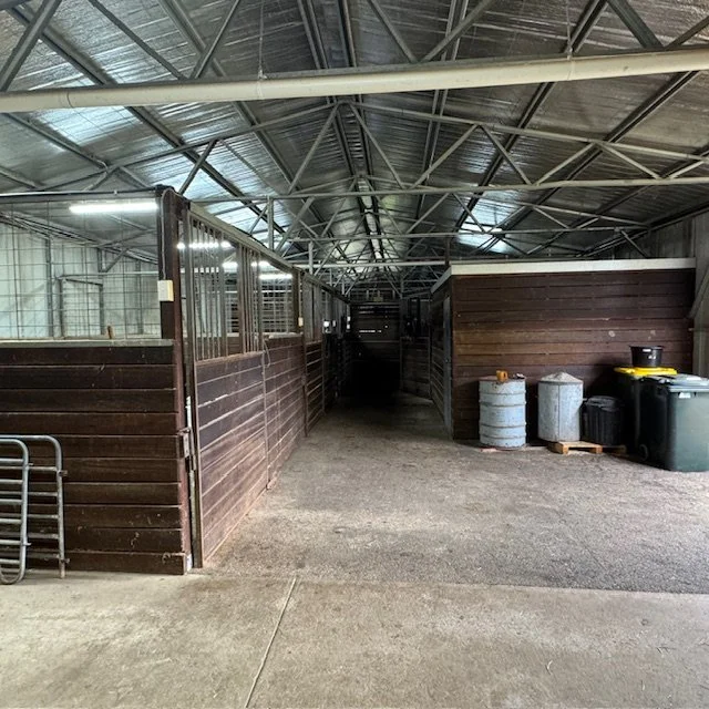 Indoor horse stable with wooden stalls, trash cans, and a metal gate.