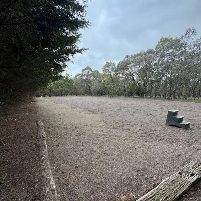 A menage with a small set of green steps on the right side, surrounded by trees and a cloudy sky.