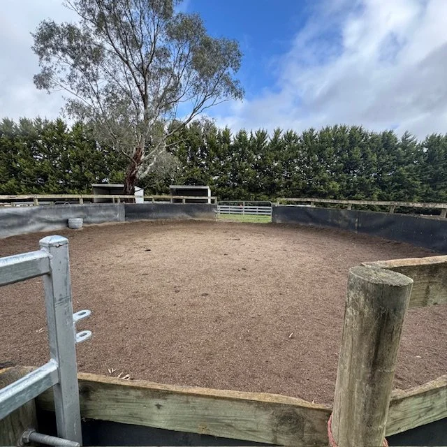 An empty outdoor horse riding arena with a dirt surface, surrounded by a wooden fence and trees in the background on a partly cloudy day.