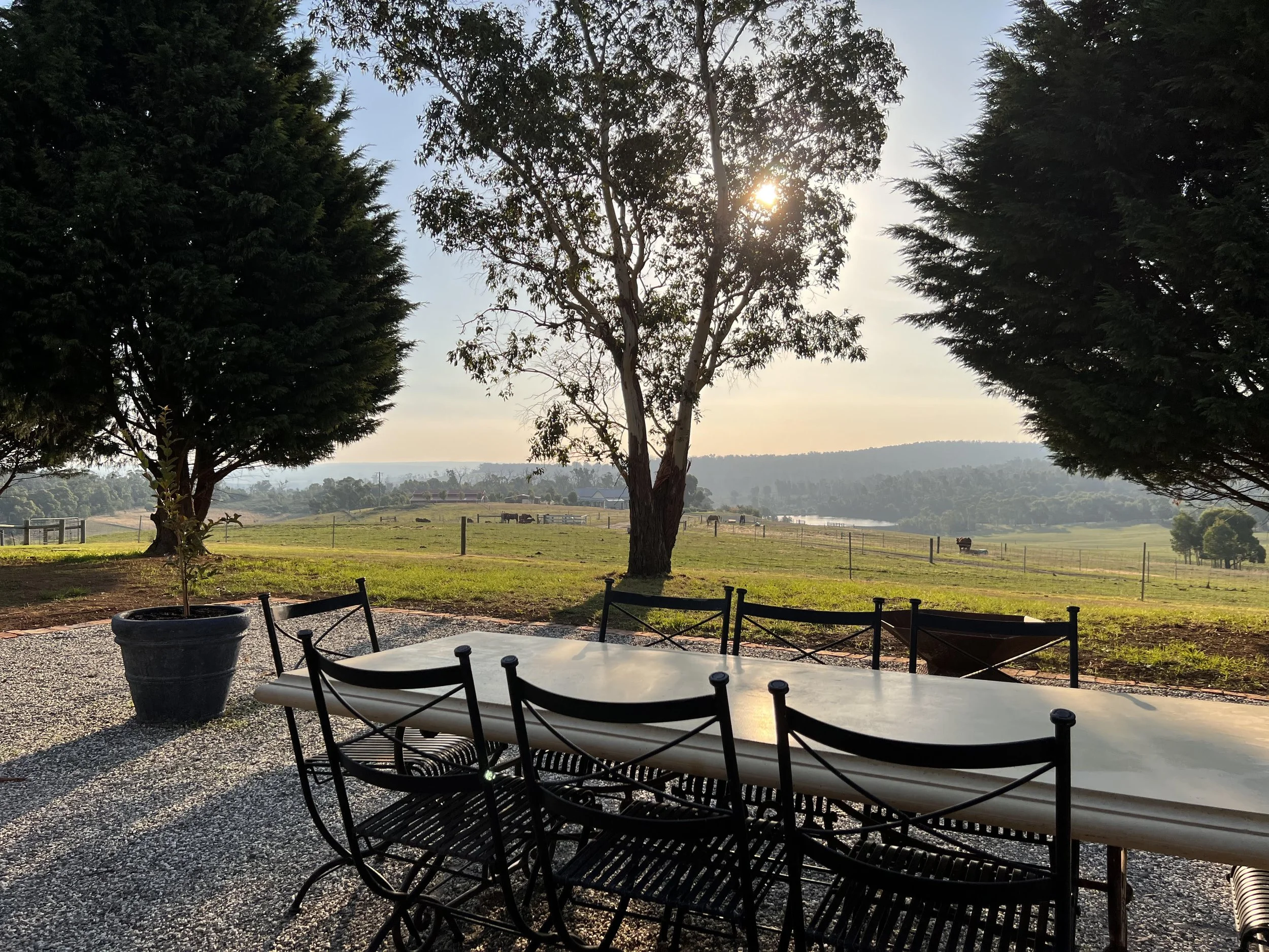 An outdoor patio with a white table and black chairs overlooking a green field with trees and cows in the distance, with the sun setting behind the trees.