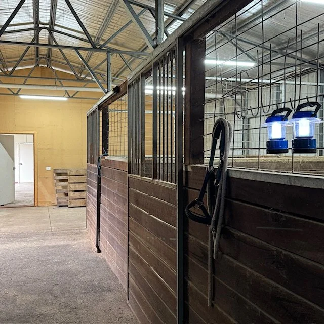Interior view of a horse stable with wooden and metal partitions, a halter hanging on the wall, and lantern lights hanging from the ceiling.