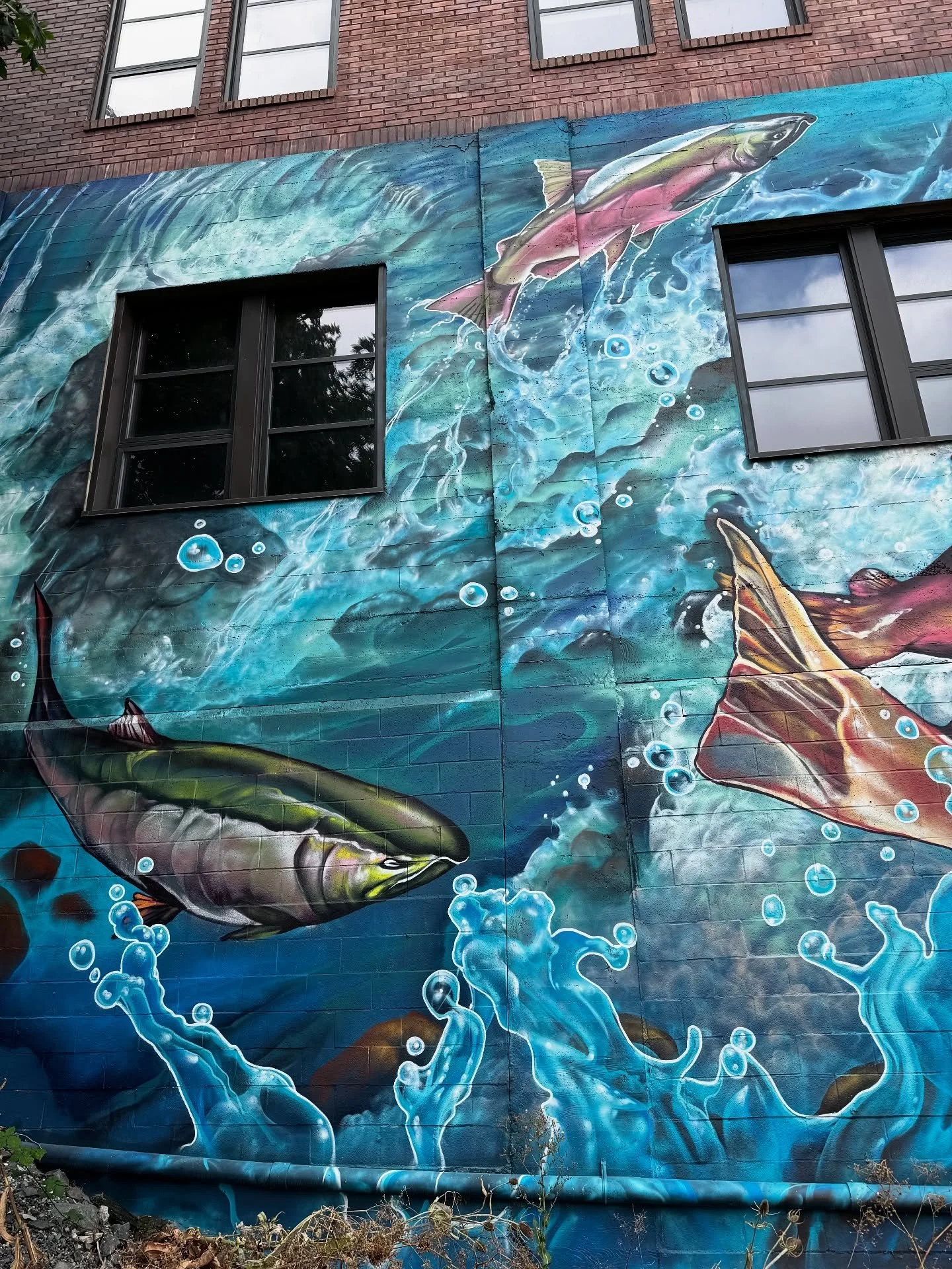 Far corner details of the left wall @naturalsystemsdesign with more of the chrome crew and many many layers of water @noisywatersmuralfest @paperwhalearts 

#missteal #watersplash #salmon #pnw #bellingham #muraldetails #washingtonstate #whatcomcounty
