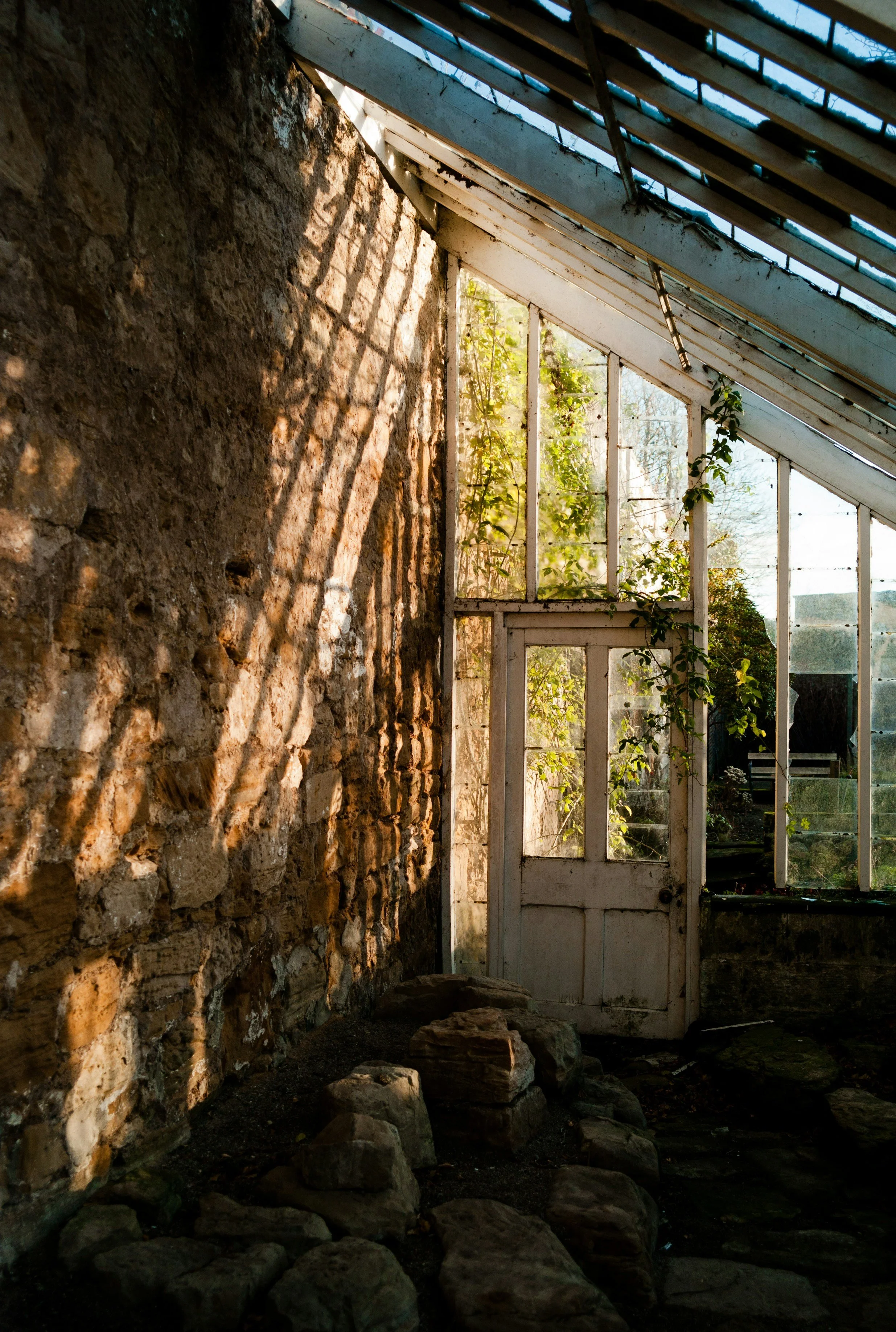 Sunlight streams through an old glass greenhouse door casting shadow patterns on a rustic stone wall inside a greenhouse with plants visible outside.