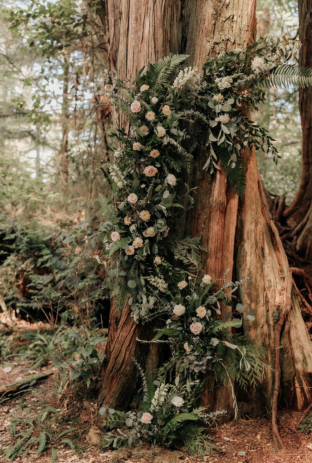 Wickaninnish Inn Forest Elopement Photos — Jennifer Picard Photography - 2095.jpg