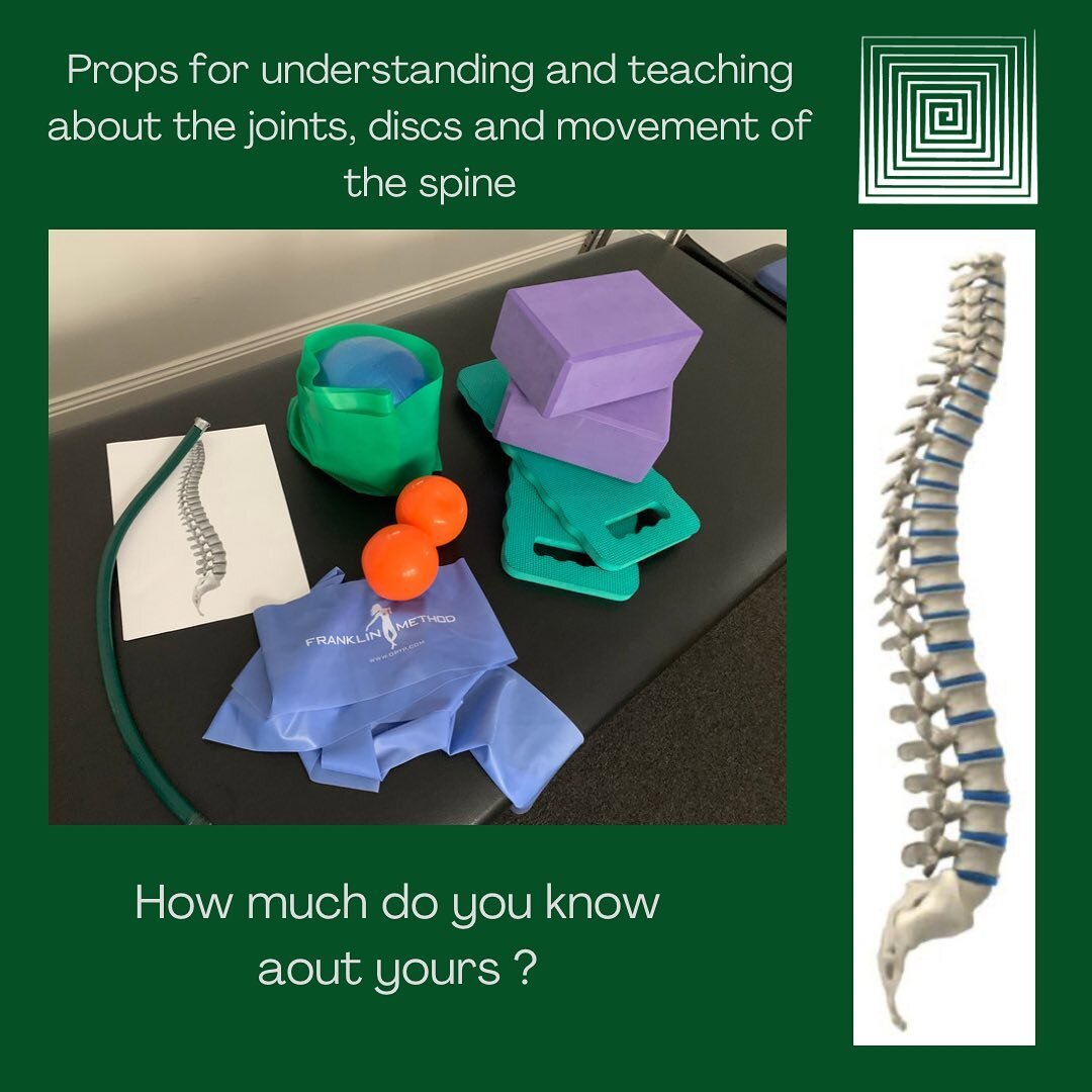 Your spine 💚

It&rsquo;s amazing!! 💚

Find out more!! 💚

Workshops in 2023 
@pilatesboxwooloowin 
pilatesbox.com.au