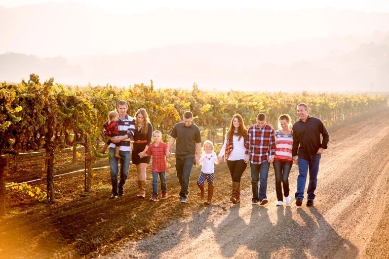 A Reunion in the Vineyards