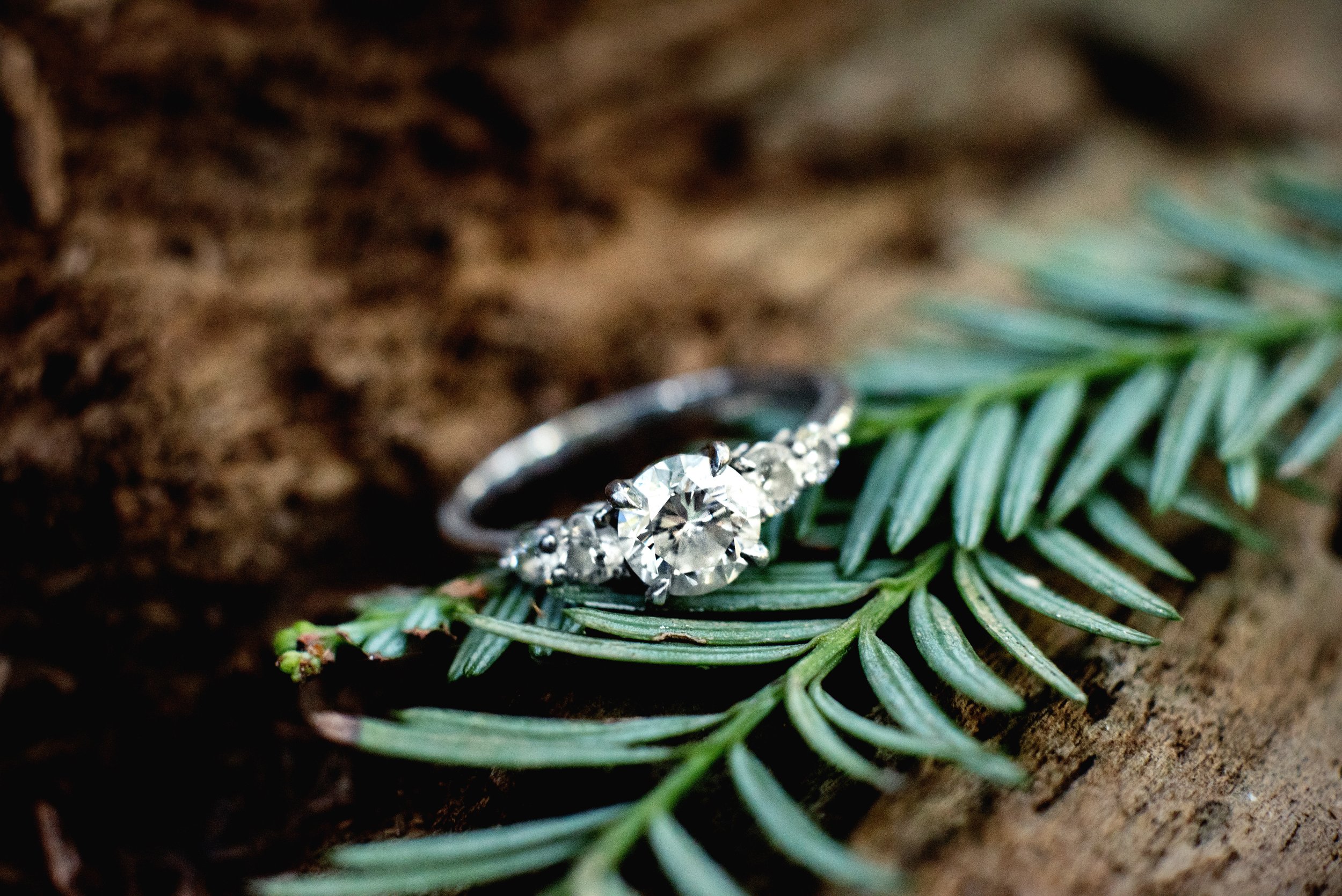 Katie+Paul-82.jpg