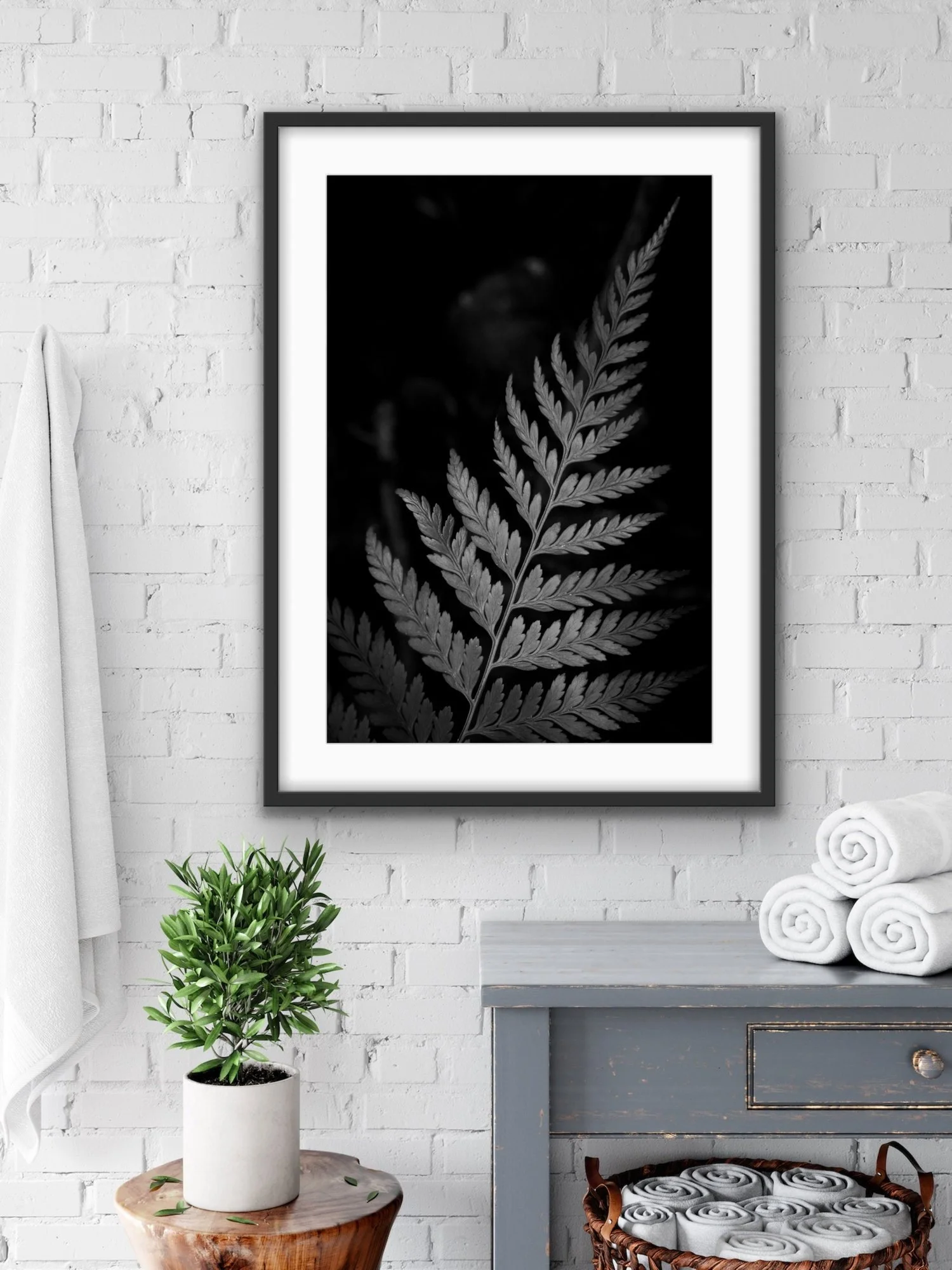 Silver Fern Photo Print, Nature, Wall Art, Fern, Rainforest, Australia, Nature and Landscape Photography