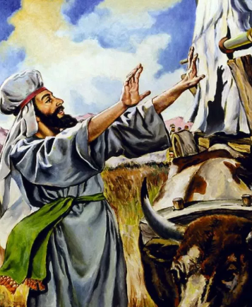 The Ark Did Not Need Saving