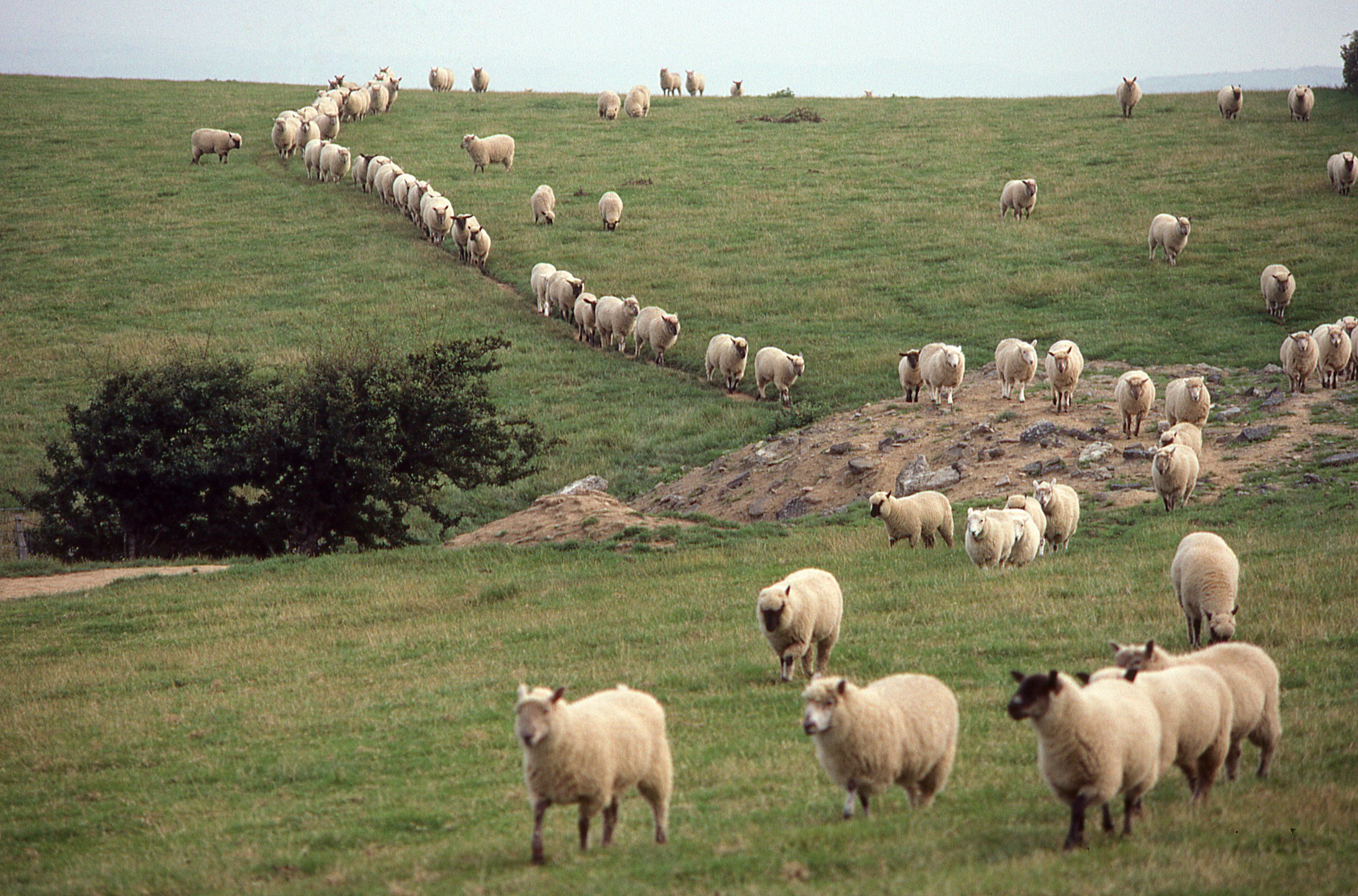 What Are You Following?