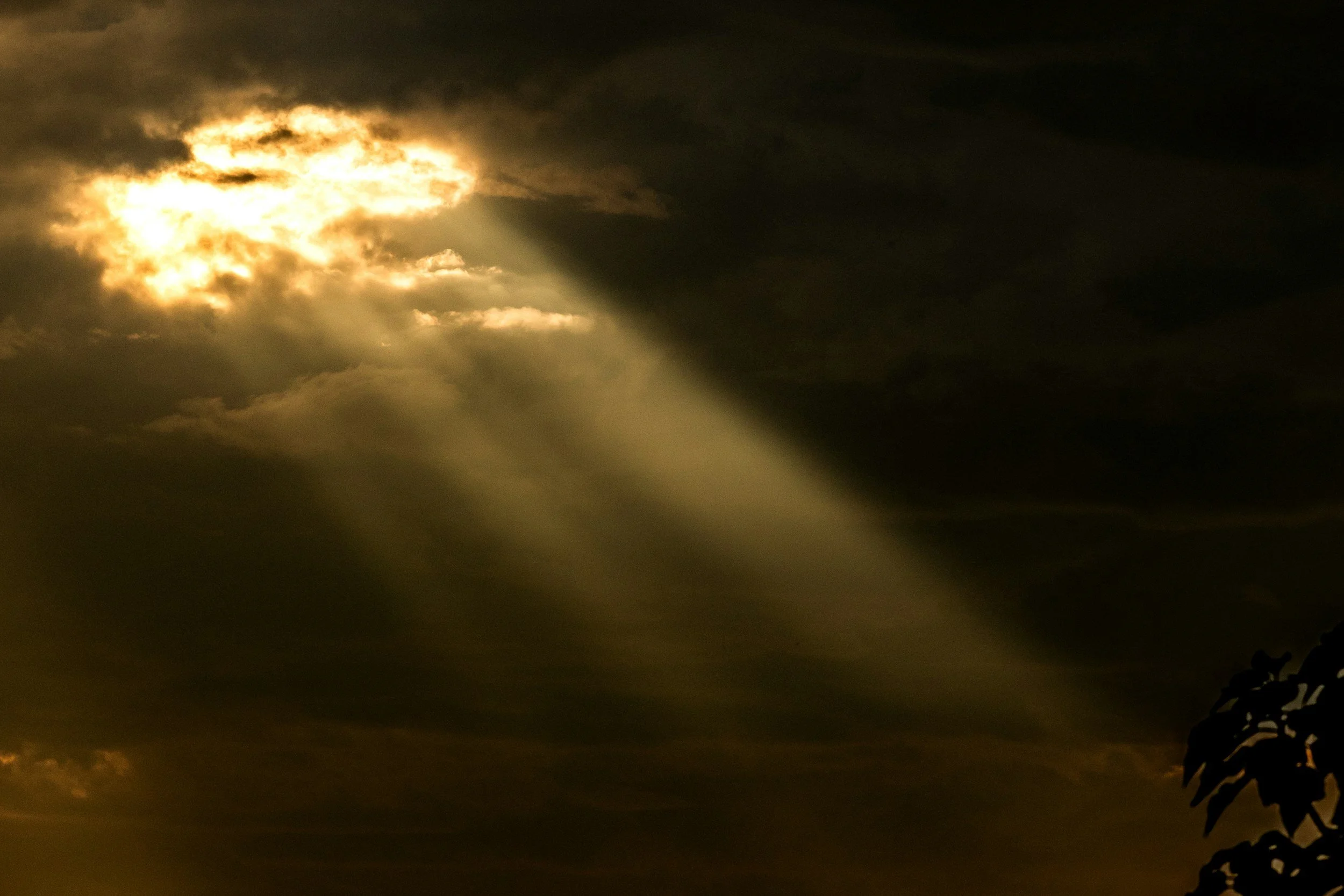 Increase the Light