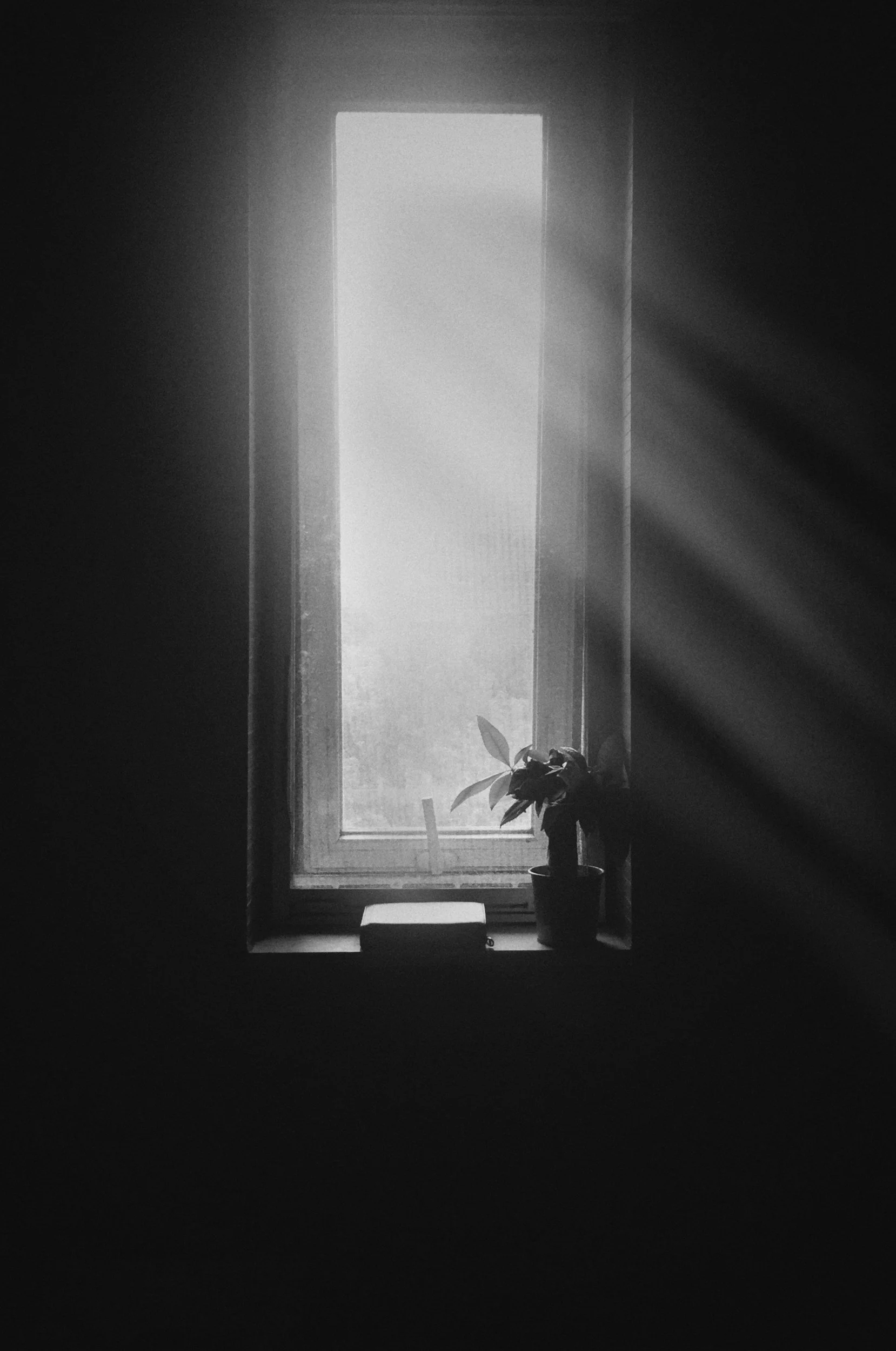 How to Find Gratitude When Life Is Hard