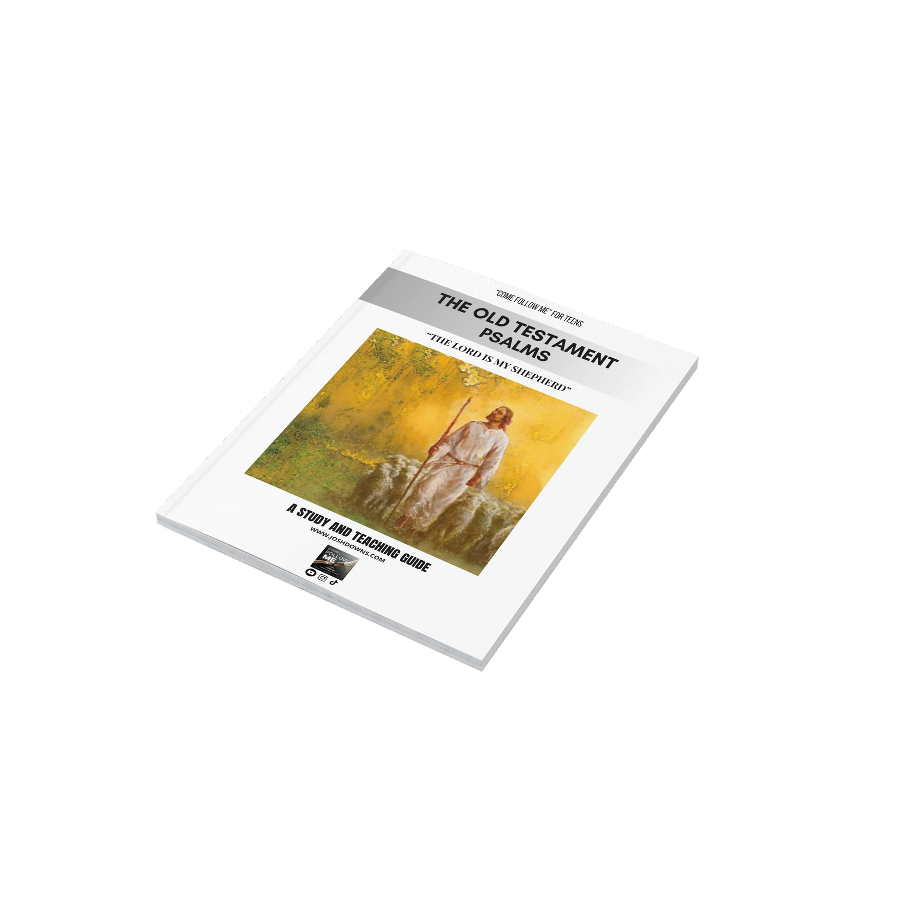 Come Follow Me for Teens Study & Teaching Guide — Psalms 1-46 