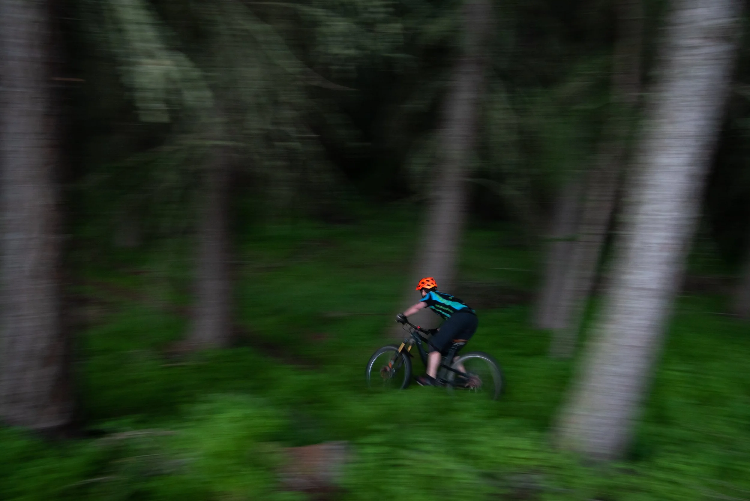 MCC x Regional Park_-28.jpg