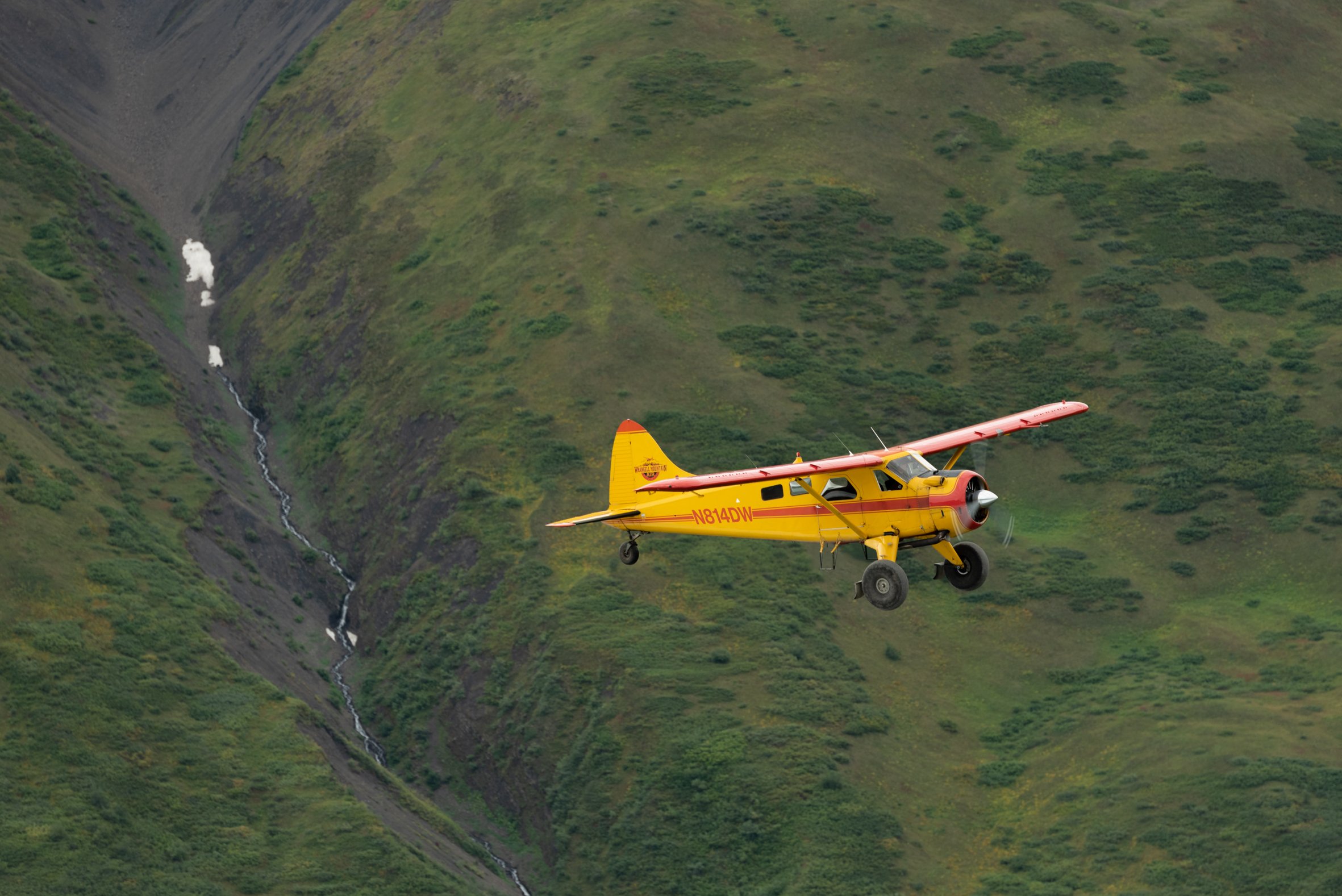 _DSC8431.jpg