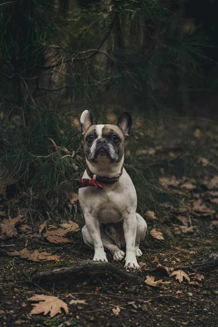 wedding photograper thessaloniki (10 of 364).jpg