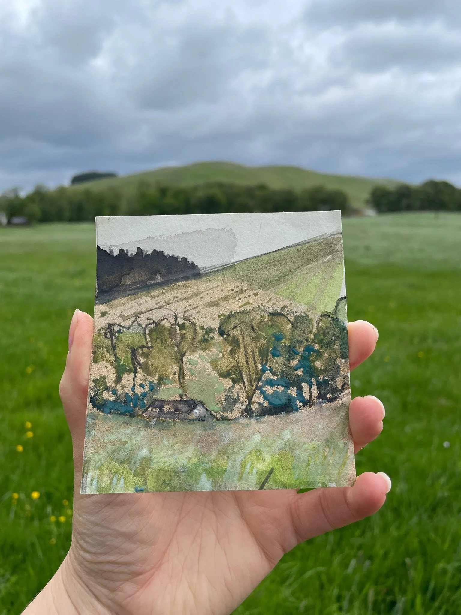 inspired by the view of Clerk Hill from my garden 06/22