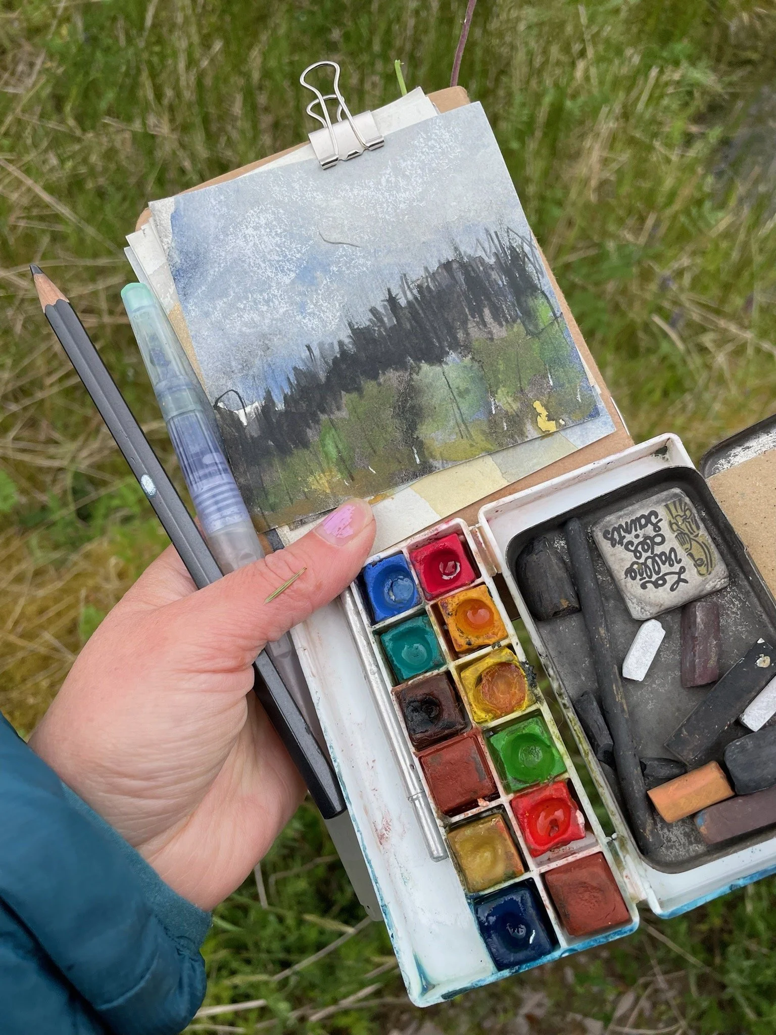 Walk at Twiglees Forest Walks 06/22
