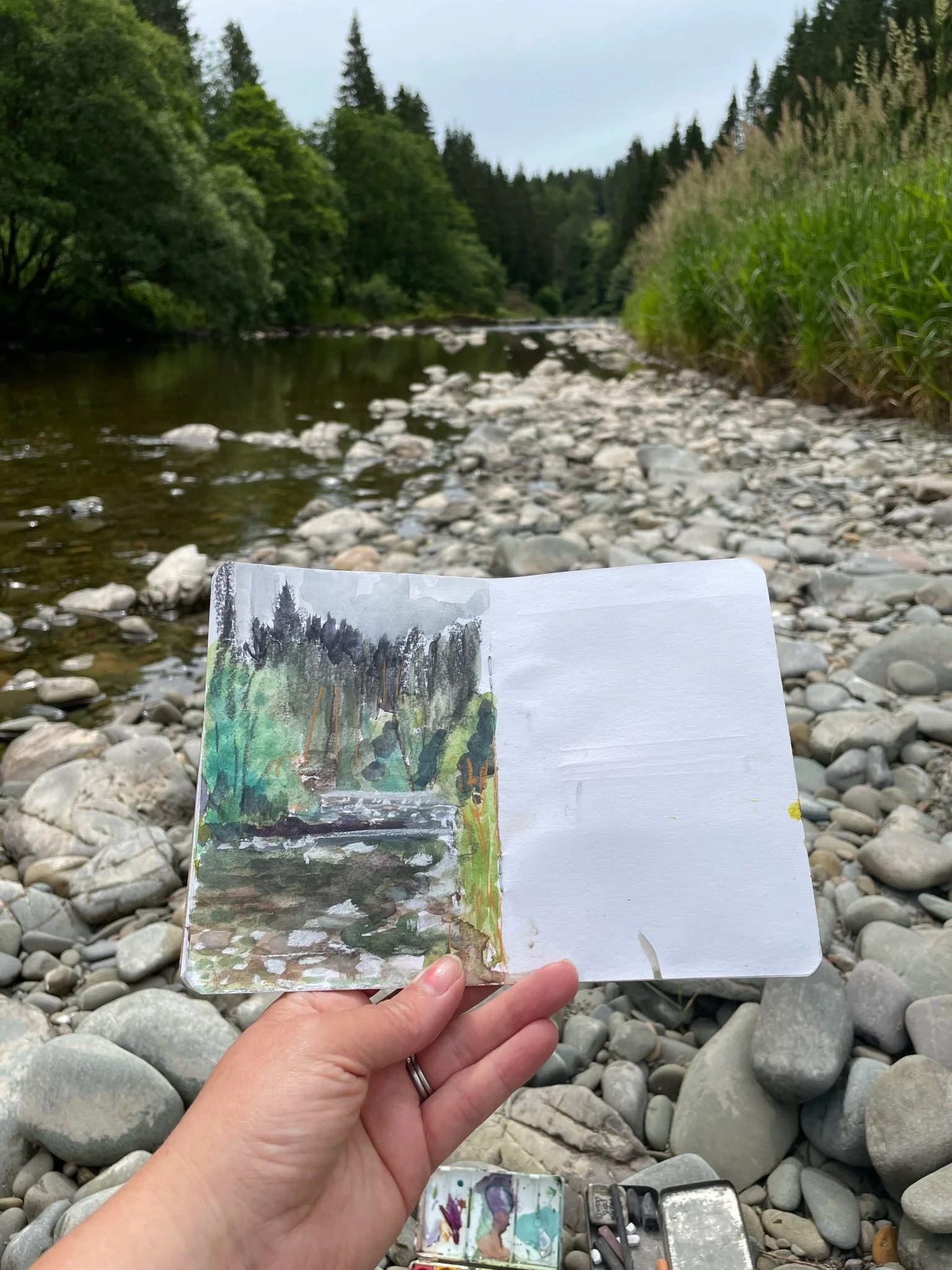 Walk along the White Esk river, just along from King's Pool 07/22