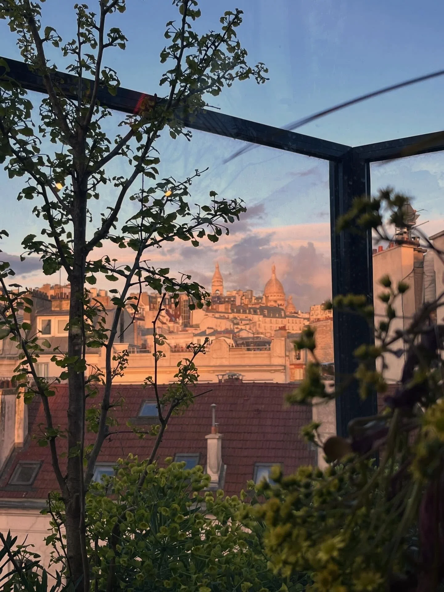 Yesterday in Petite Paris we flew high! 'Terrass' high with aperitif hour on top of Le Terrass in Montmartre, just me and my solo Petites (a little lady leak here, deep in conversations and wine 🥰) - with a sweeping sunset view. Sante mesdames 🍾

A