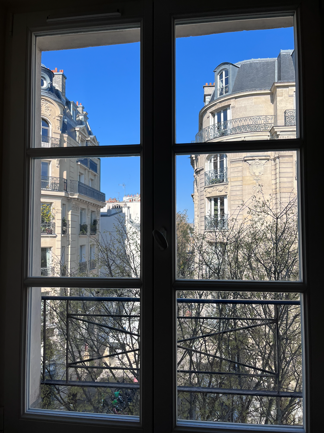 Picturesque outlook with trees and classic historic haussmanns!