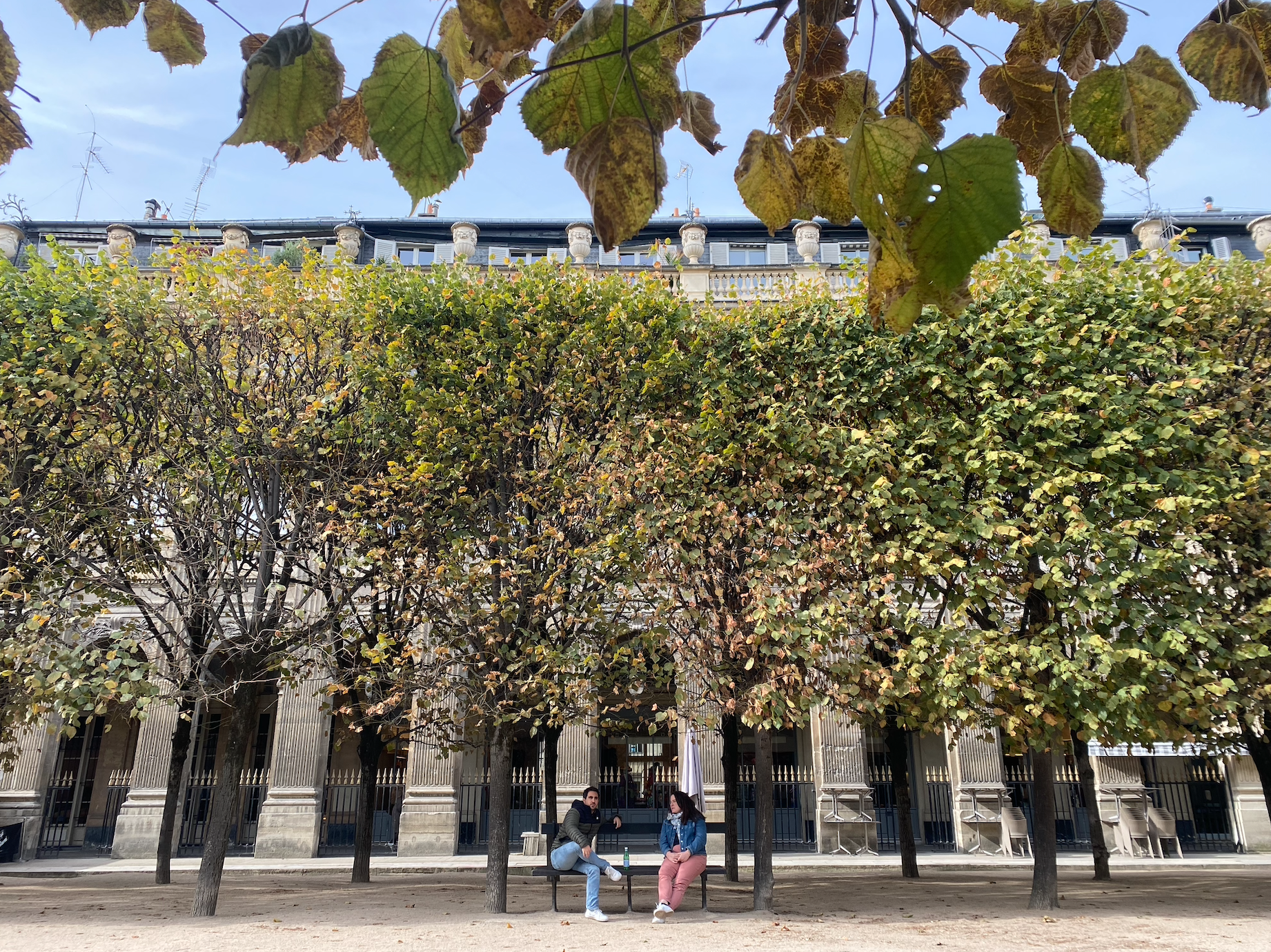 The iconic Jardin du Palais Royal is minutes away! 
