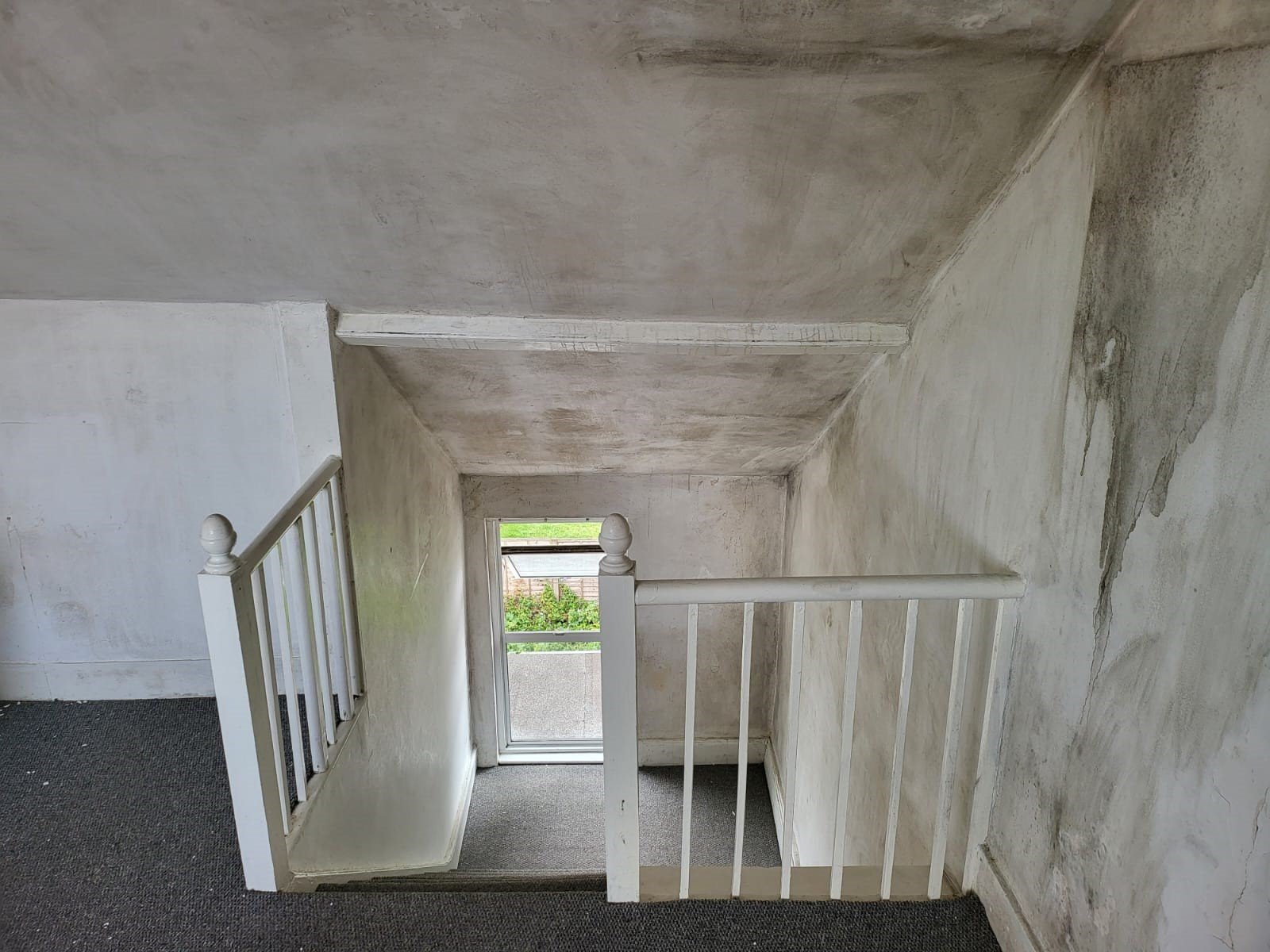 Why does mould grow in buildings?