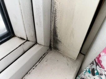 Why Does Mould Keep Coming Back?