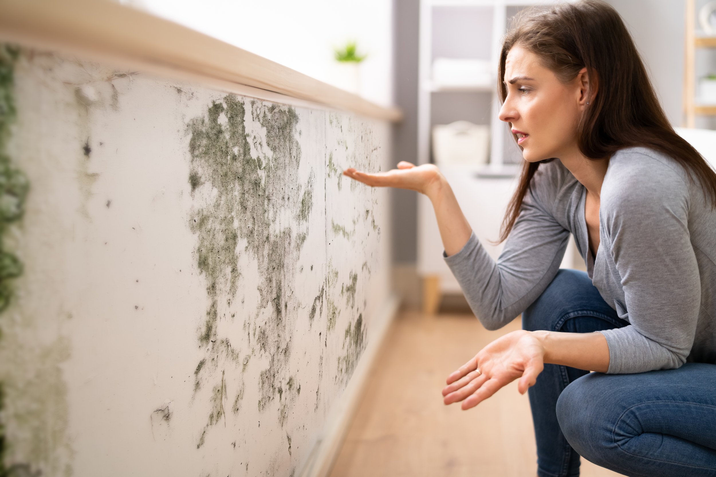 Mould inspection investigating visible mould, water damage and potential moisture problems within a property