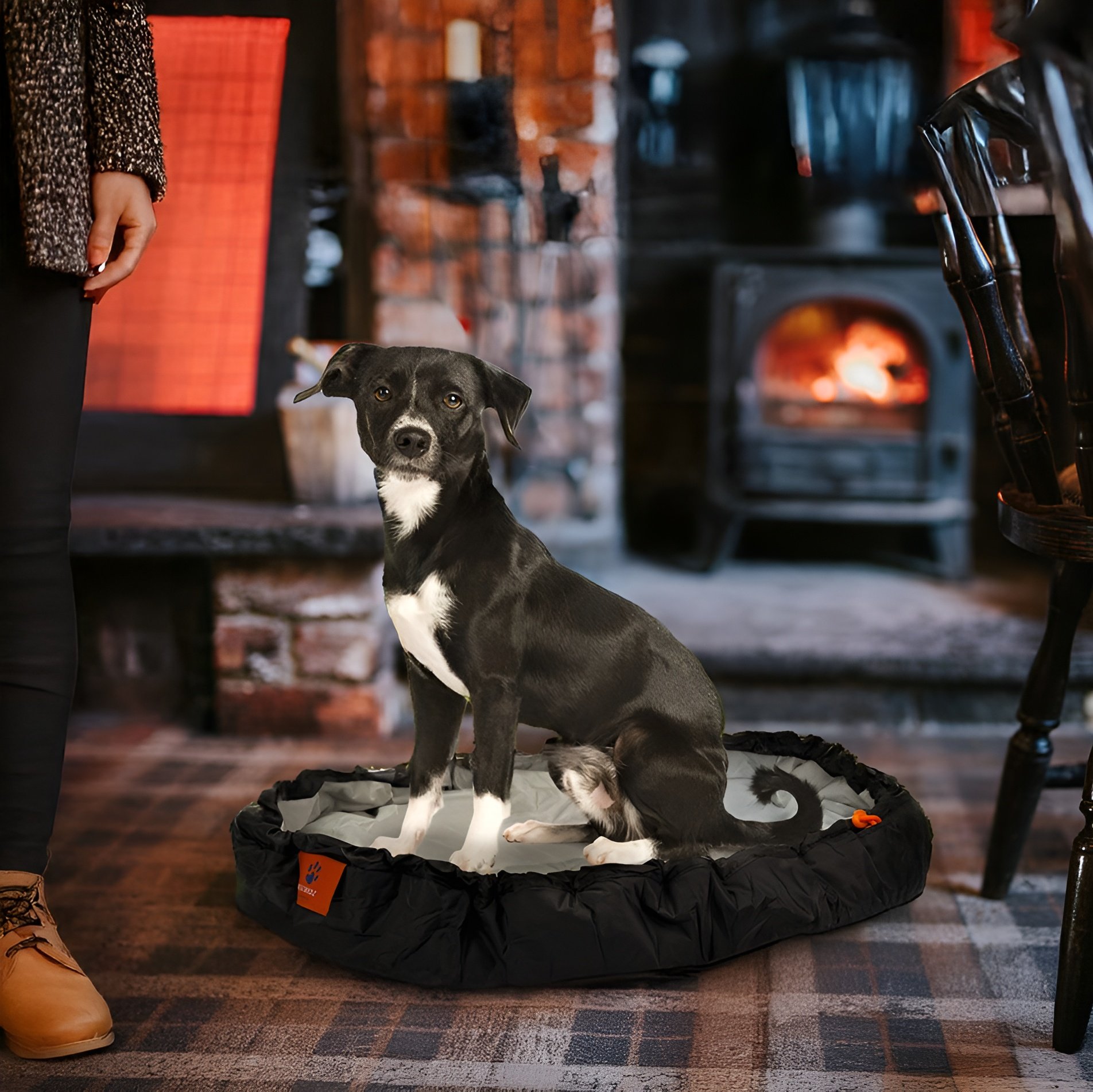 Dog in a pub- Upscaled.png