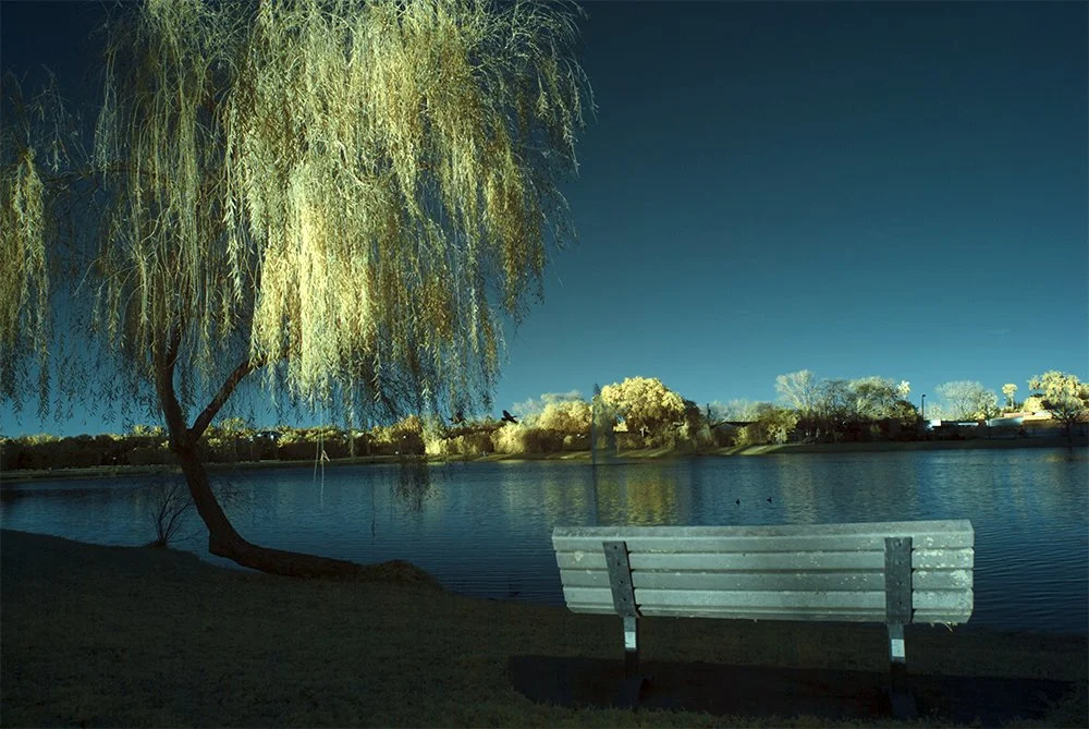 Yellow Dusk