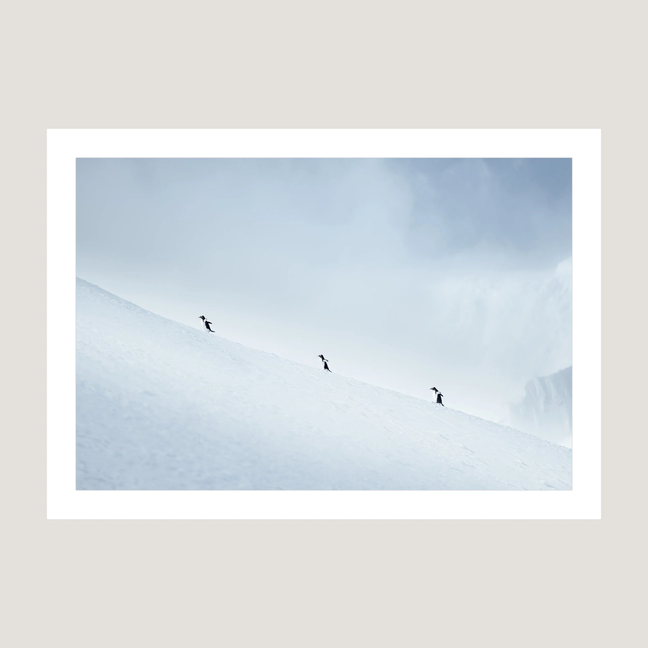 PenguinPromenade_Print_only_1x1.jpg