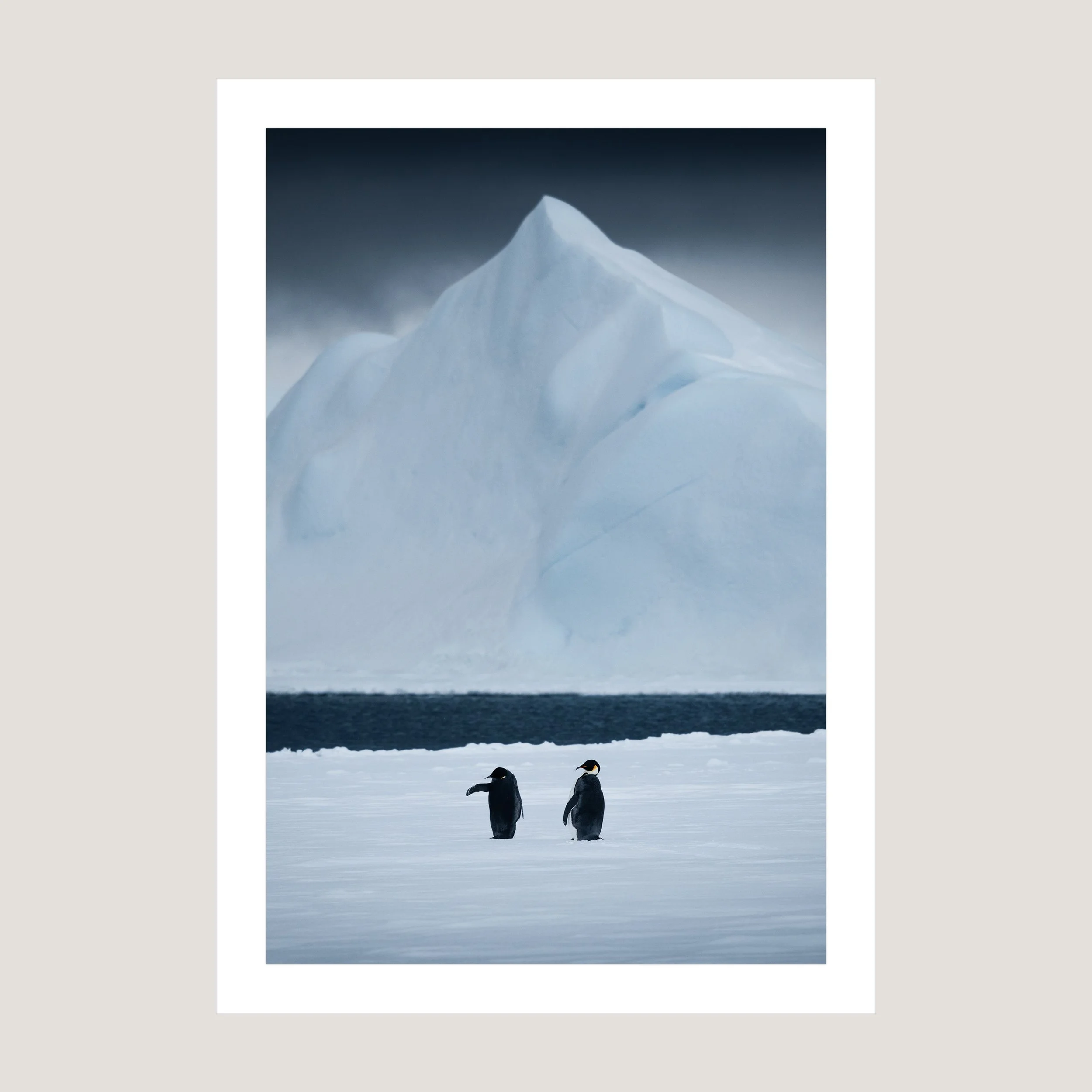 WeddellSea_Print_only_1x1.jpg
