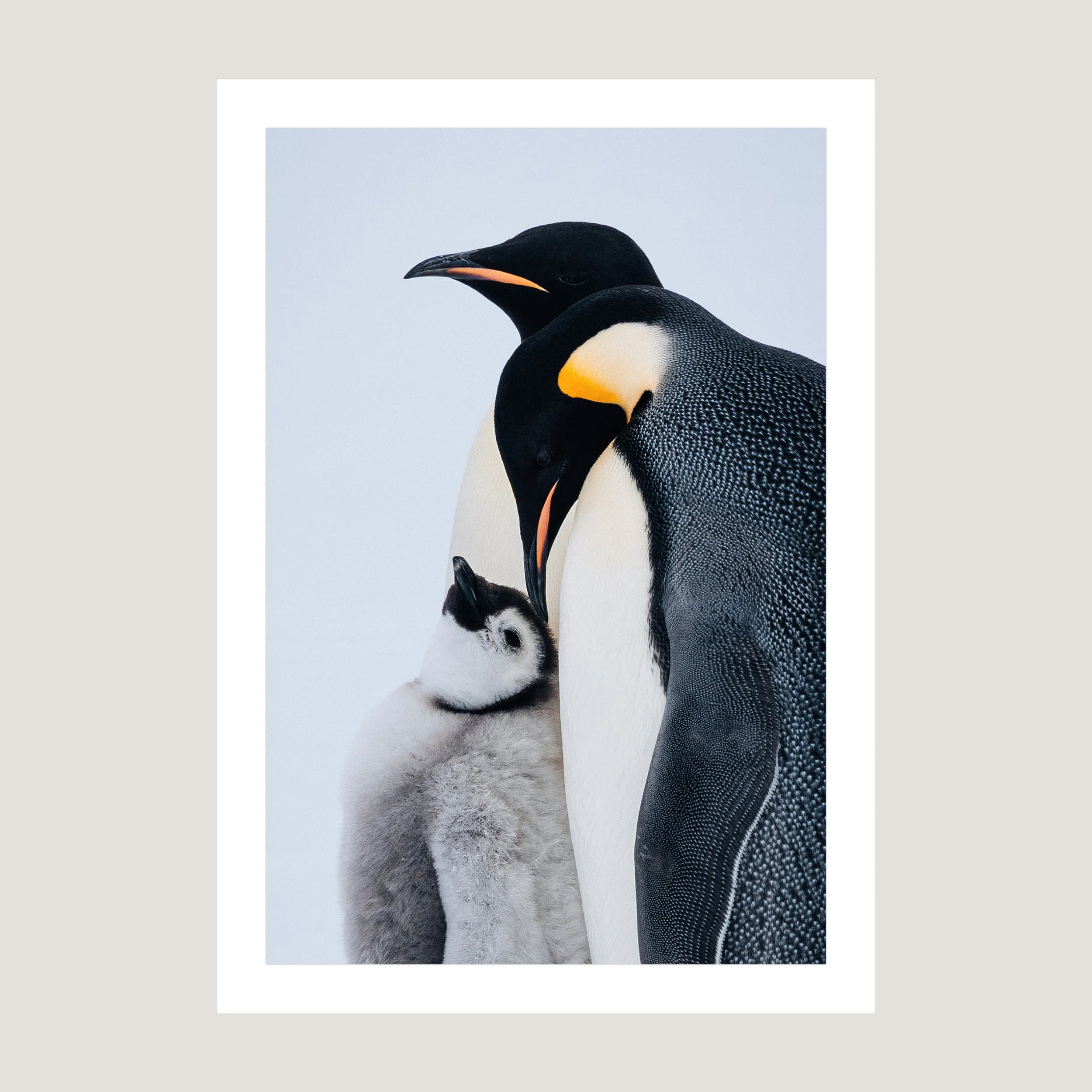 Close_Print_only_1x1.jpg