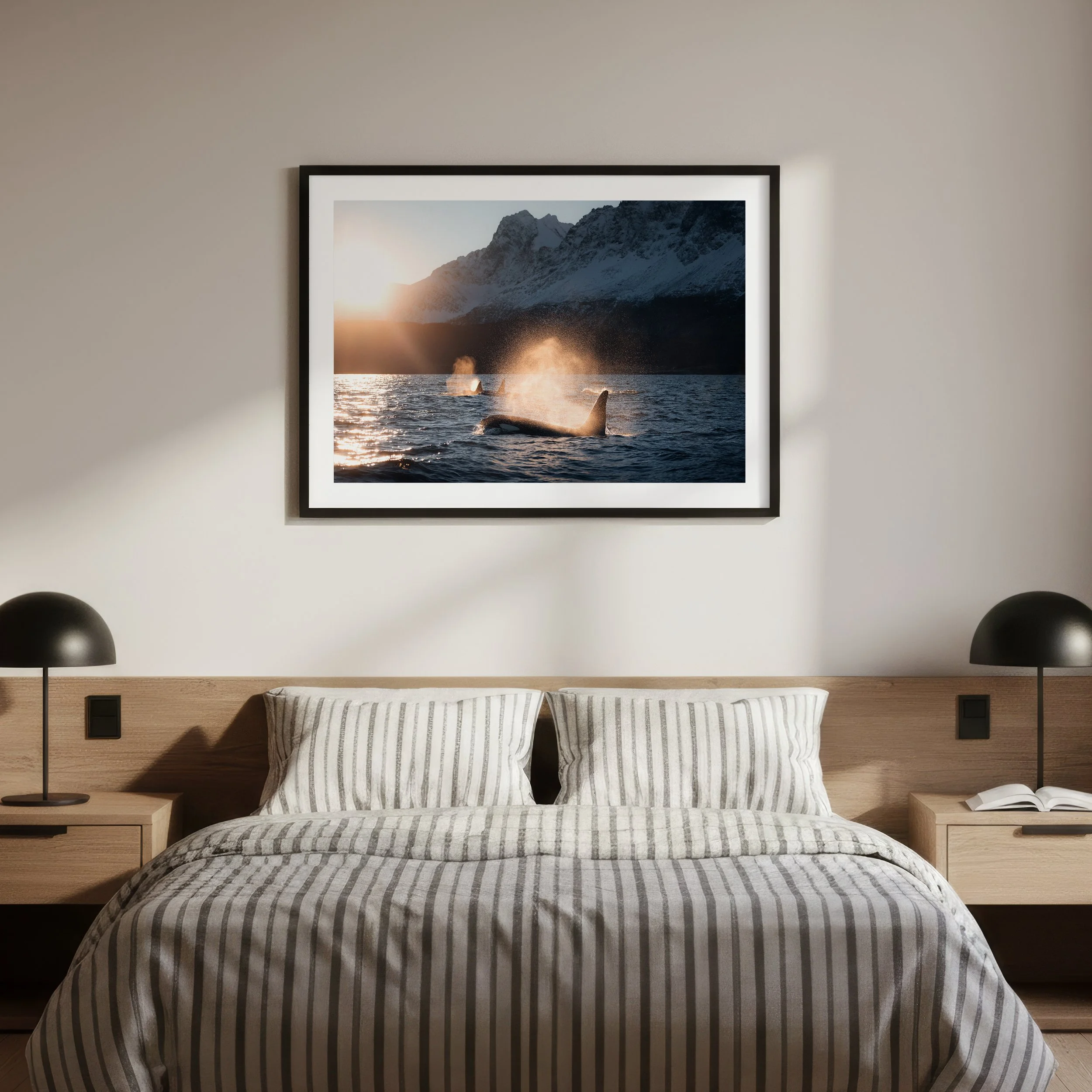 NorthOfTheSun_frame_1x1.jpg
