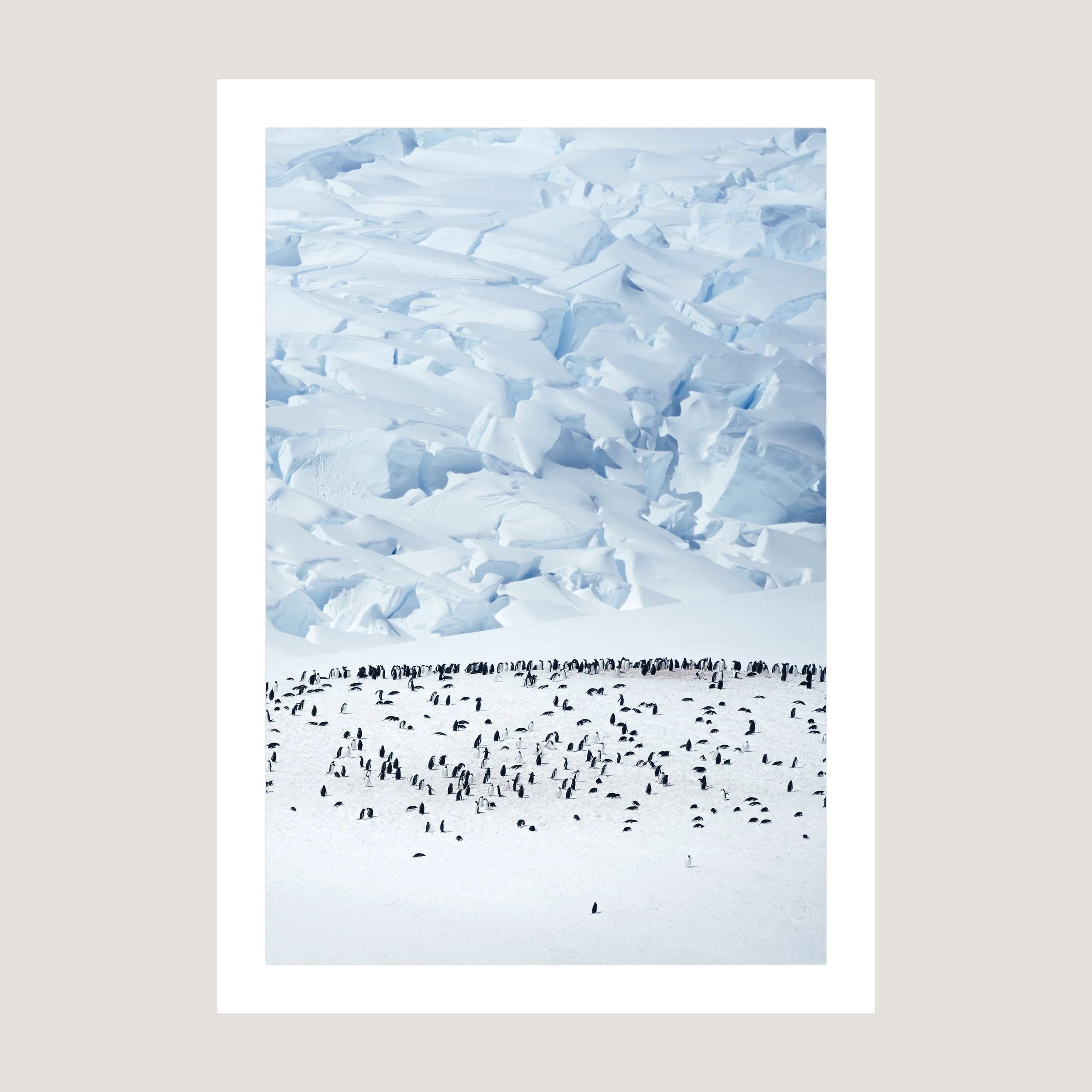 Antarctica_Print_only_1x1.jpg