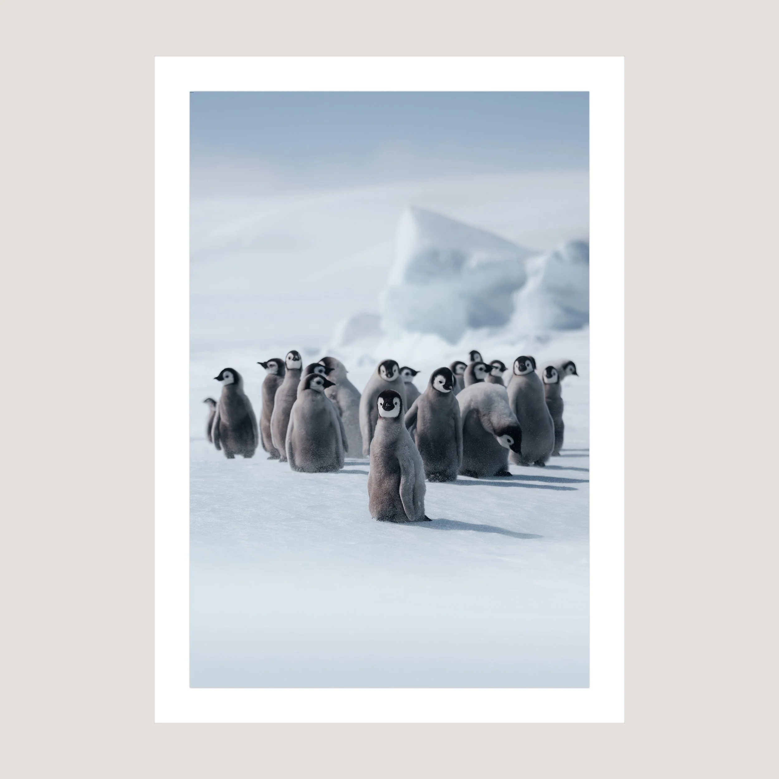 HappyFeet_Print_only_1x1.jpg