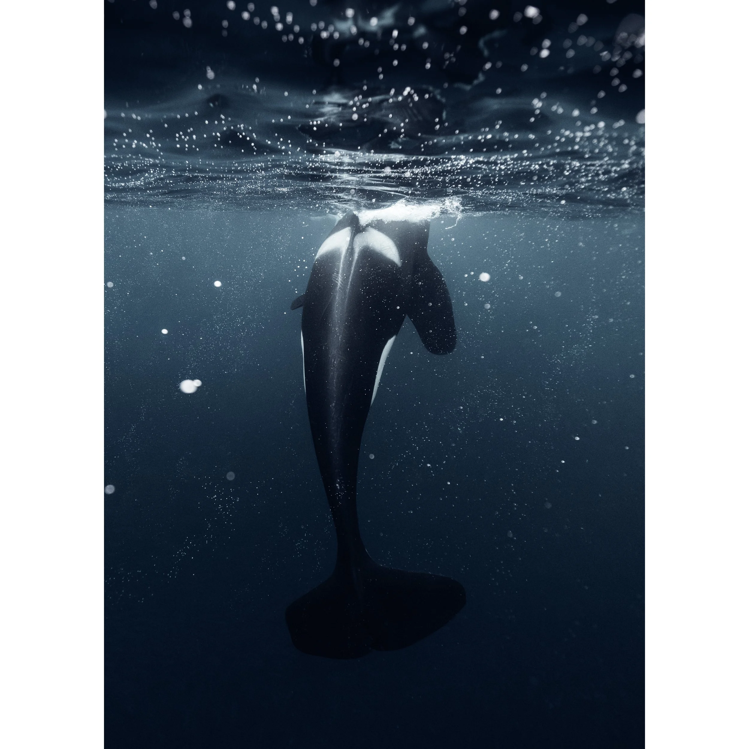 Beyond The Surface