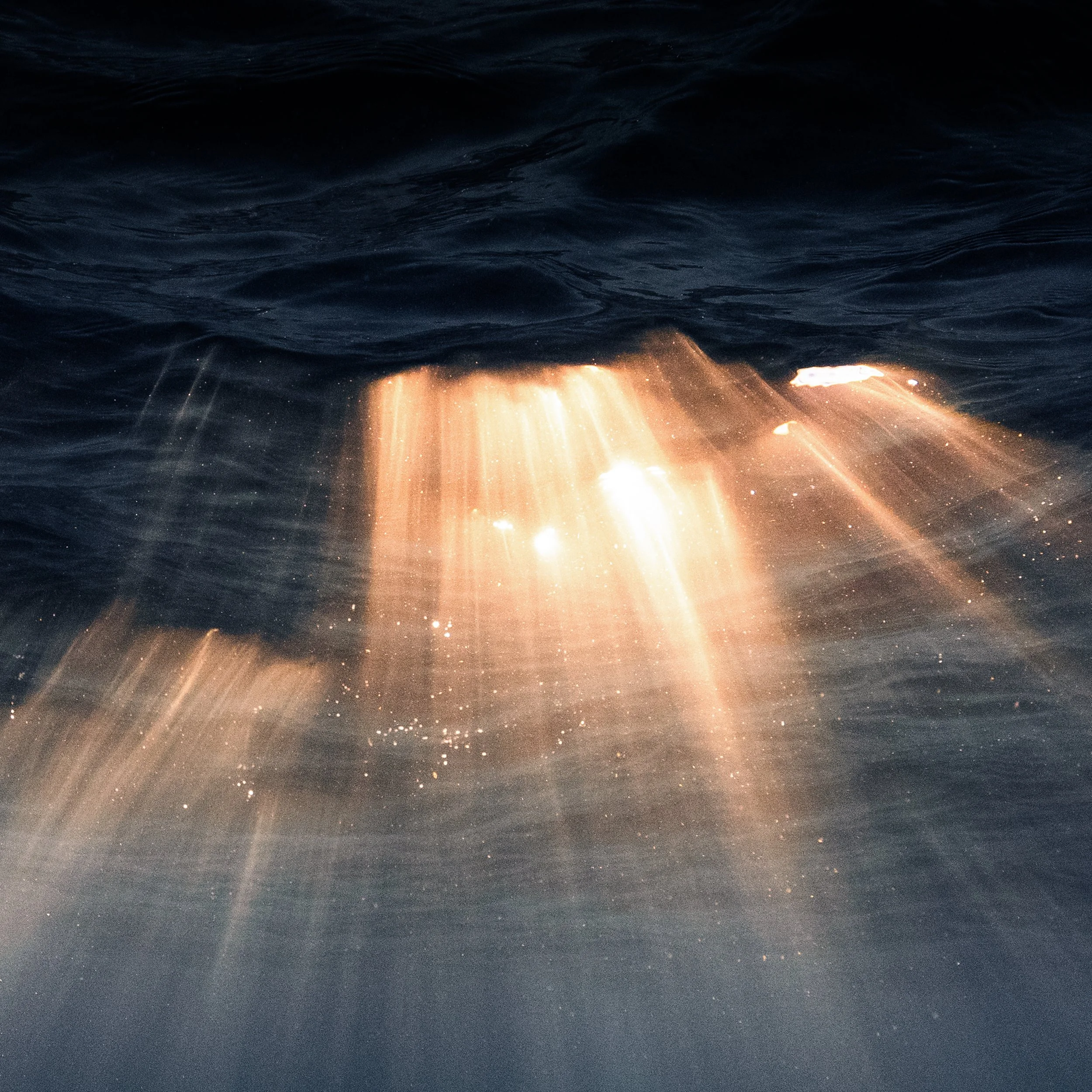 LastLight_detail.jpg
