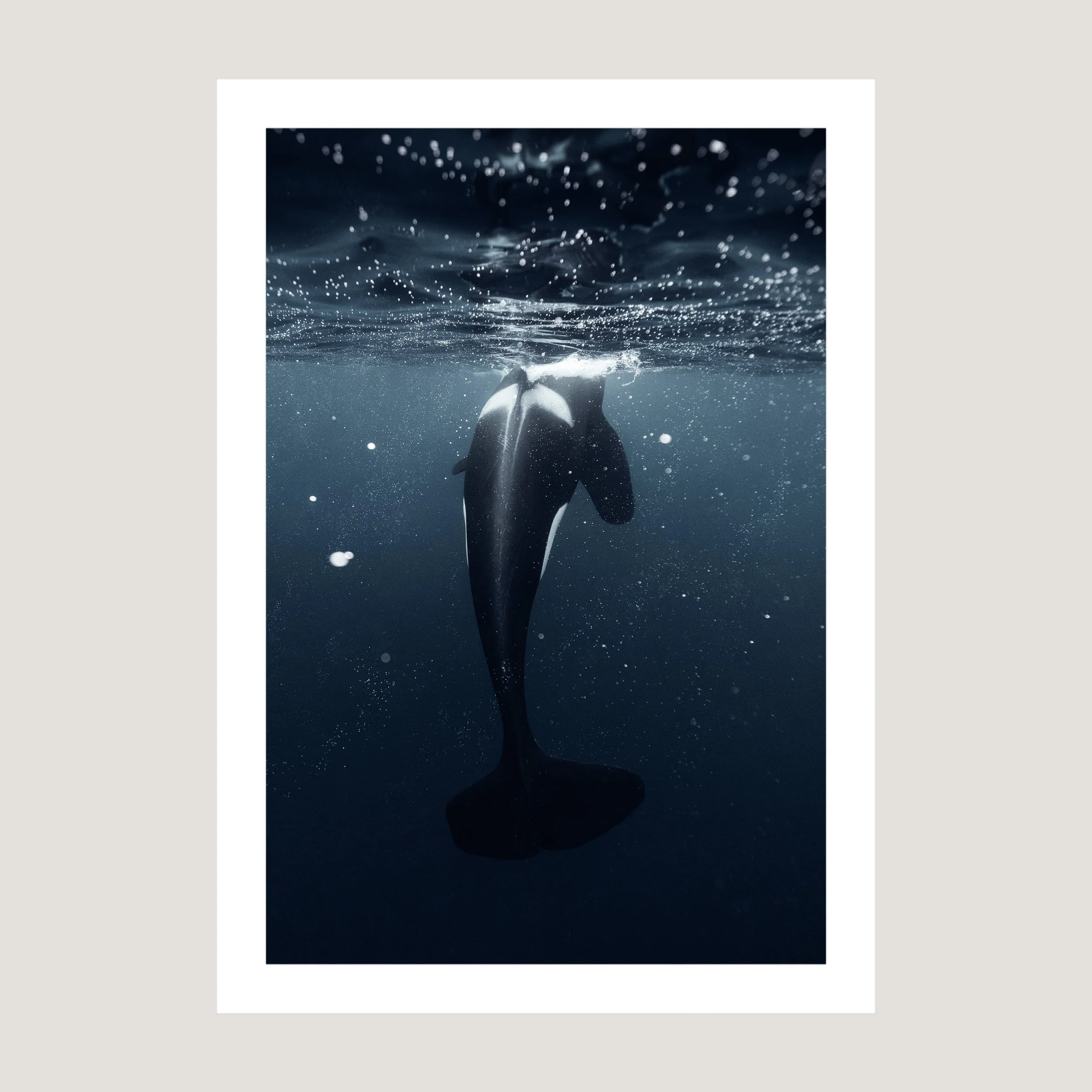 BeyondTheSurface_Print_only_1x1.jpg