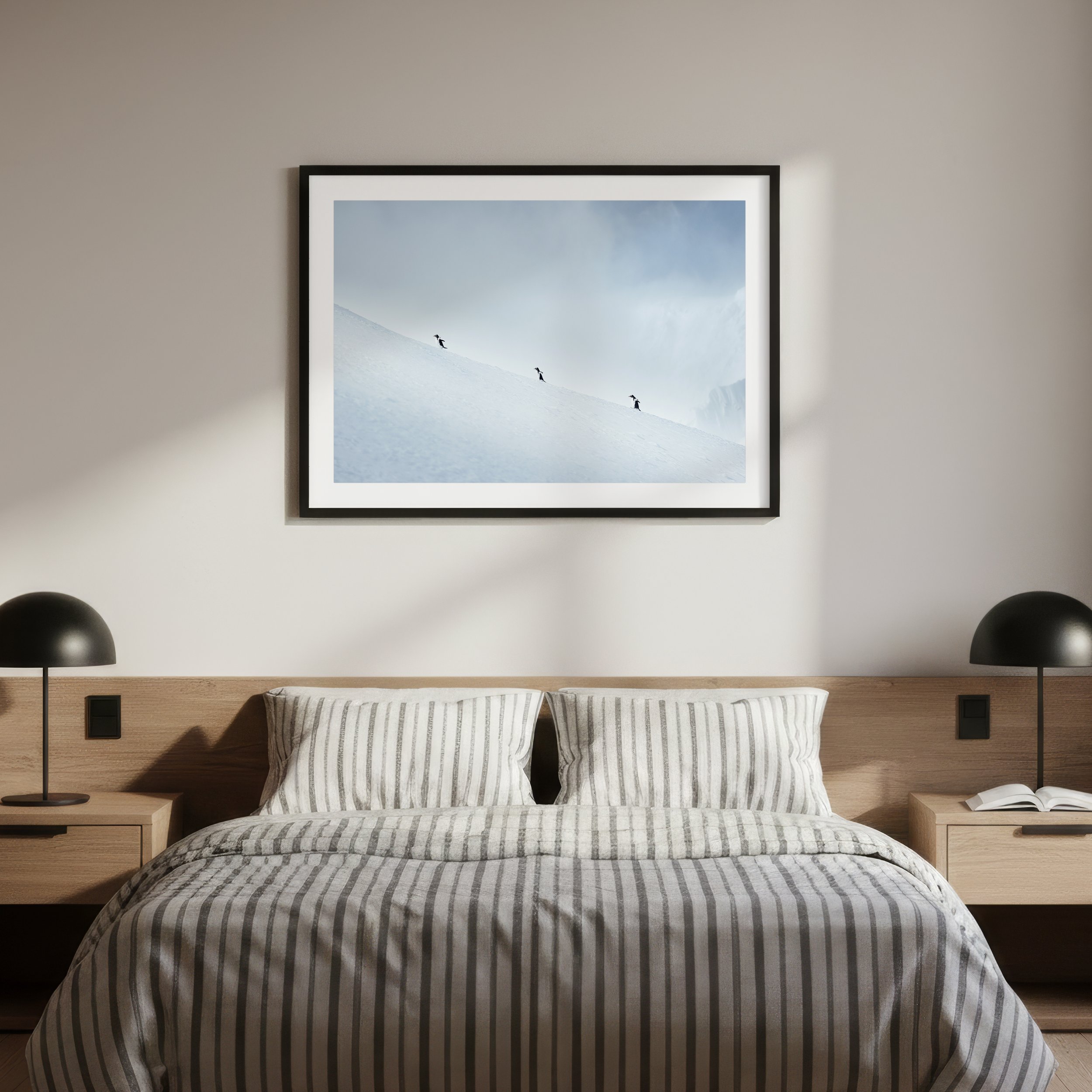 PenguinPromenade_frame_1x1.jpg