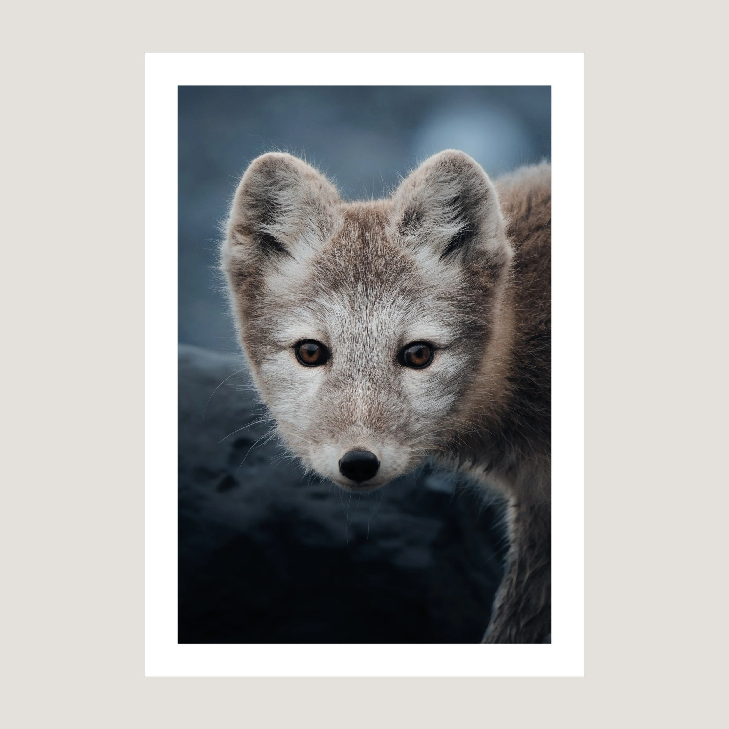 EyeToEye_Print_only_1x1.jpg