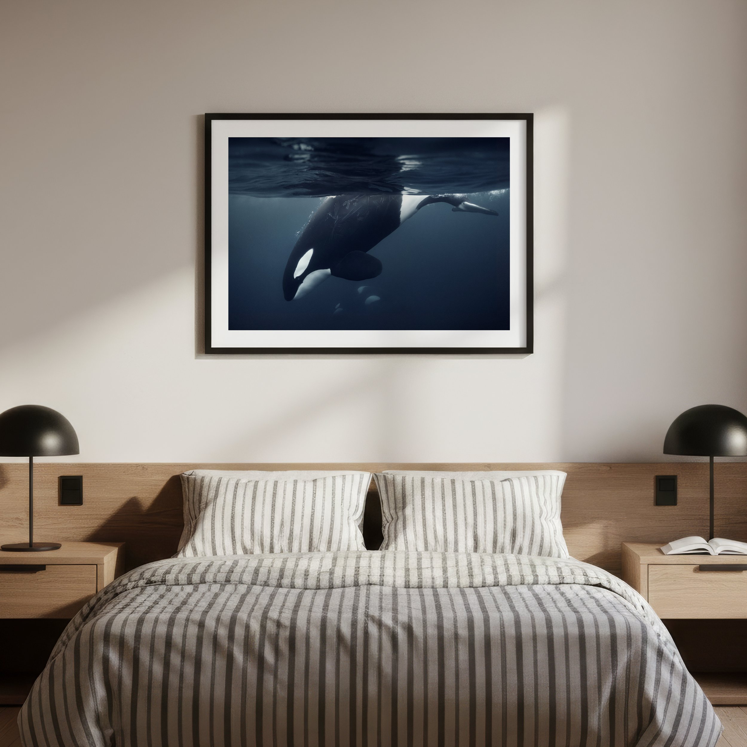 OceanScars_frame_1x1.jpg