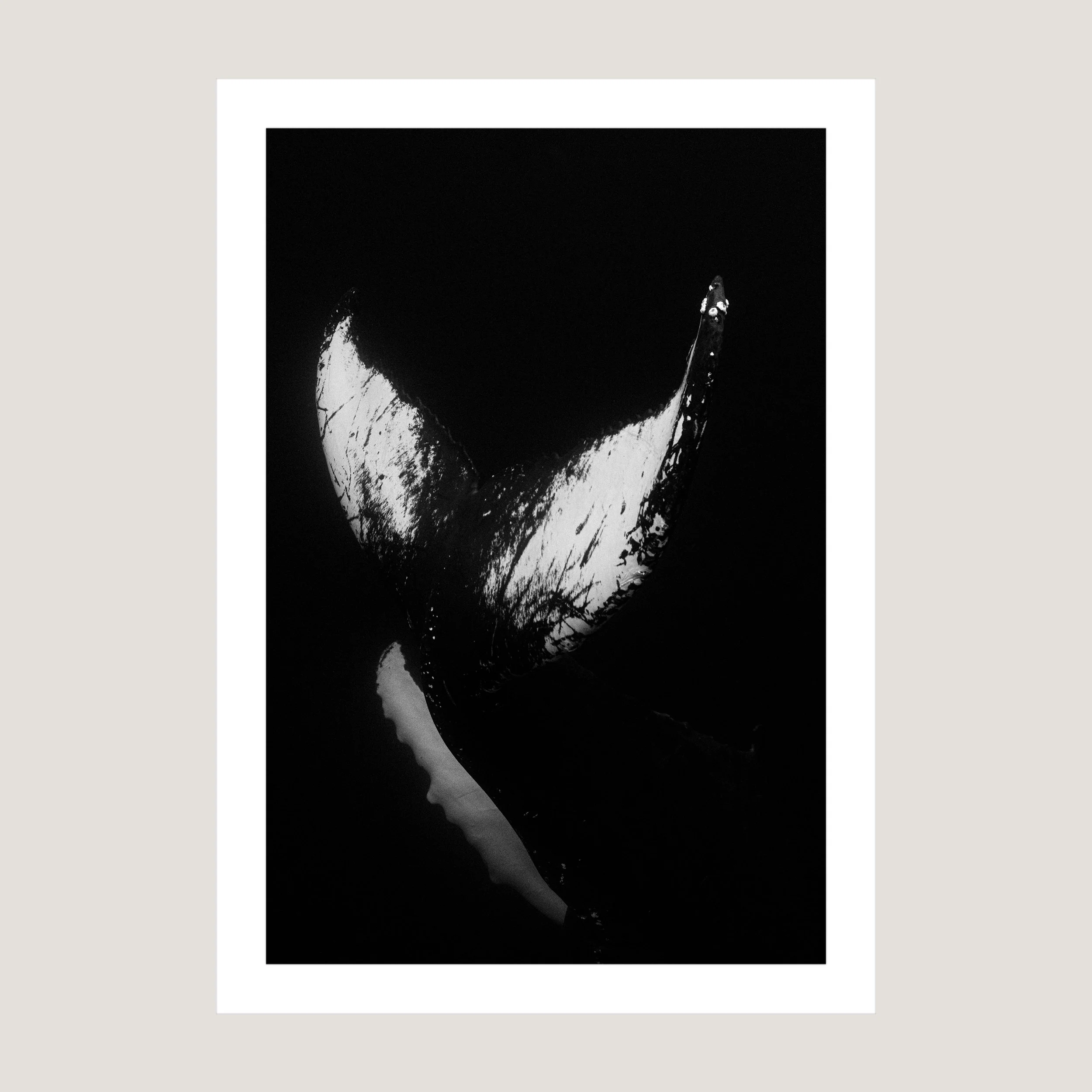 IntoTheDeep_Print_only_1x1.jpg
