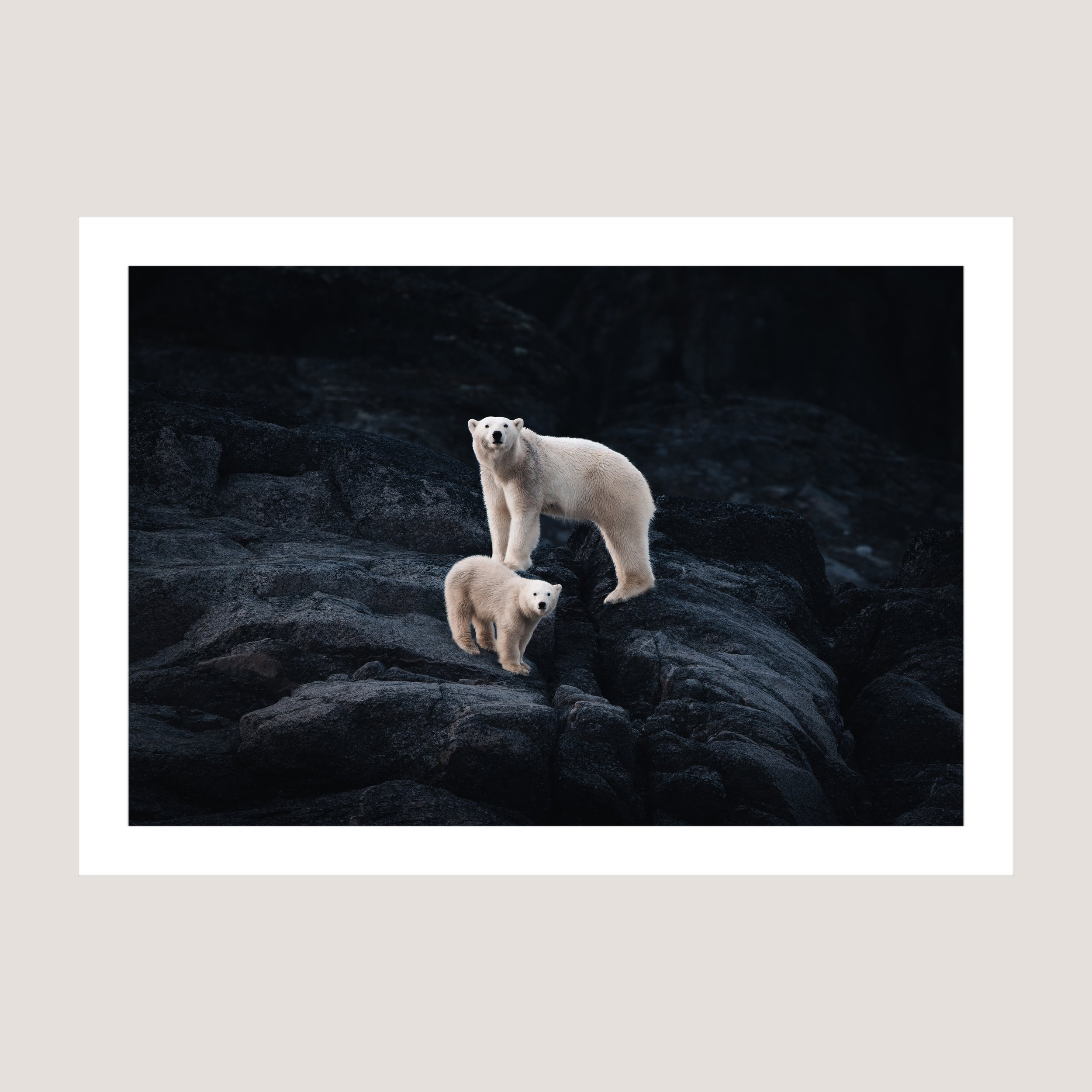 TheBond_Print_only_1x1.jpg