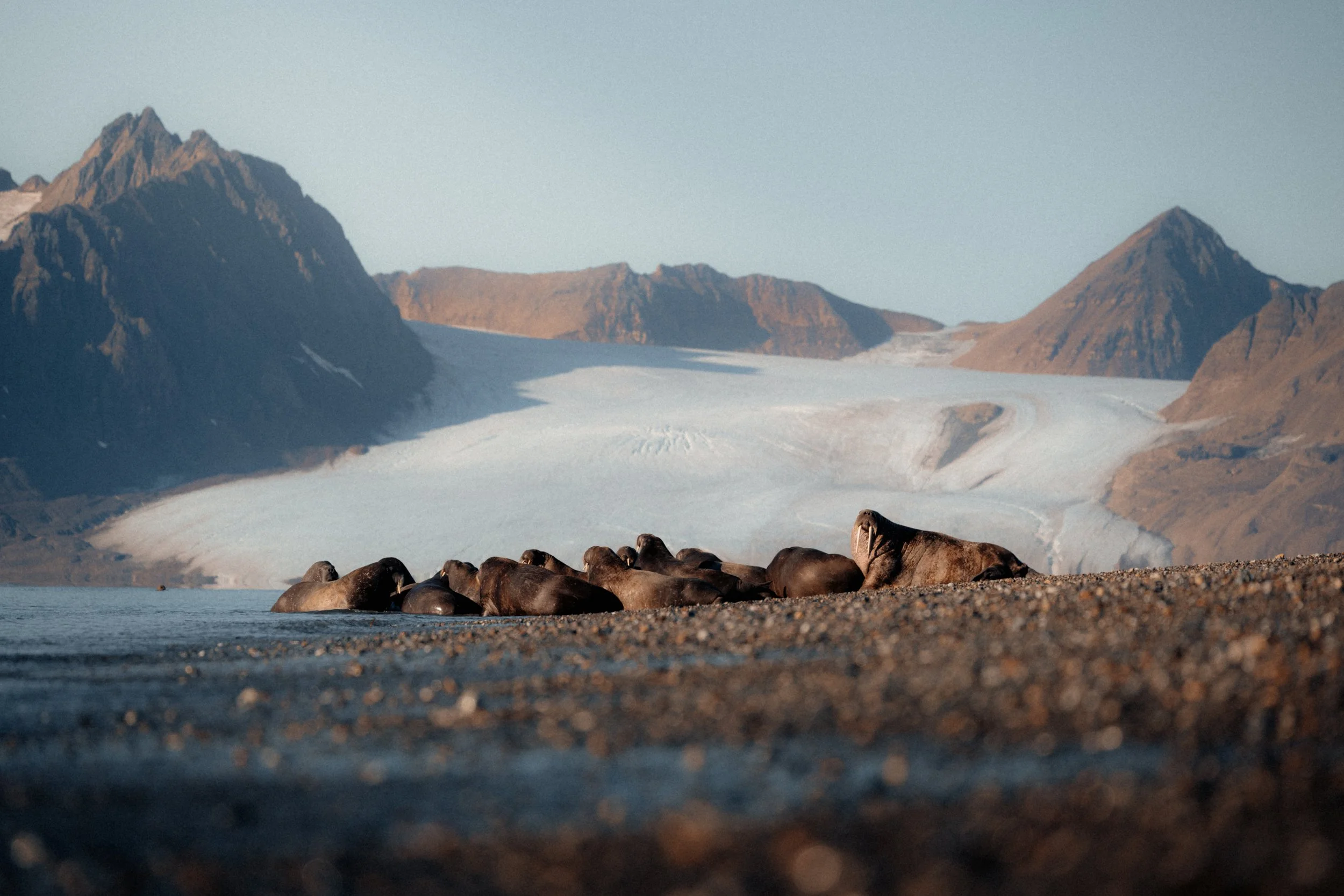 Svalbard_EXPED_36.jpg