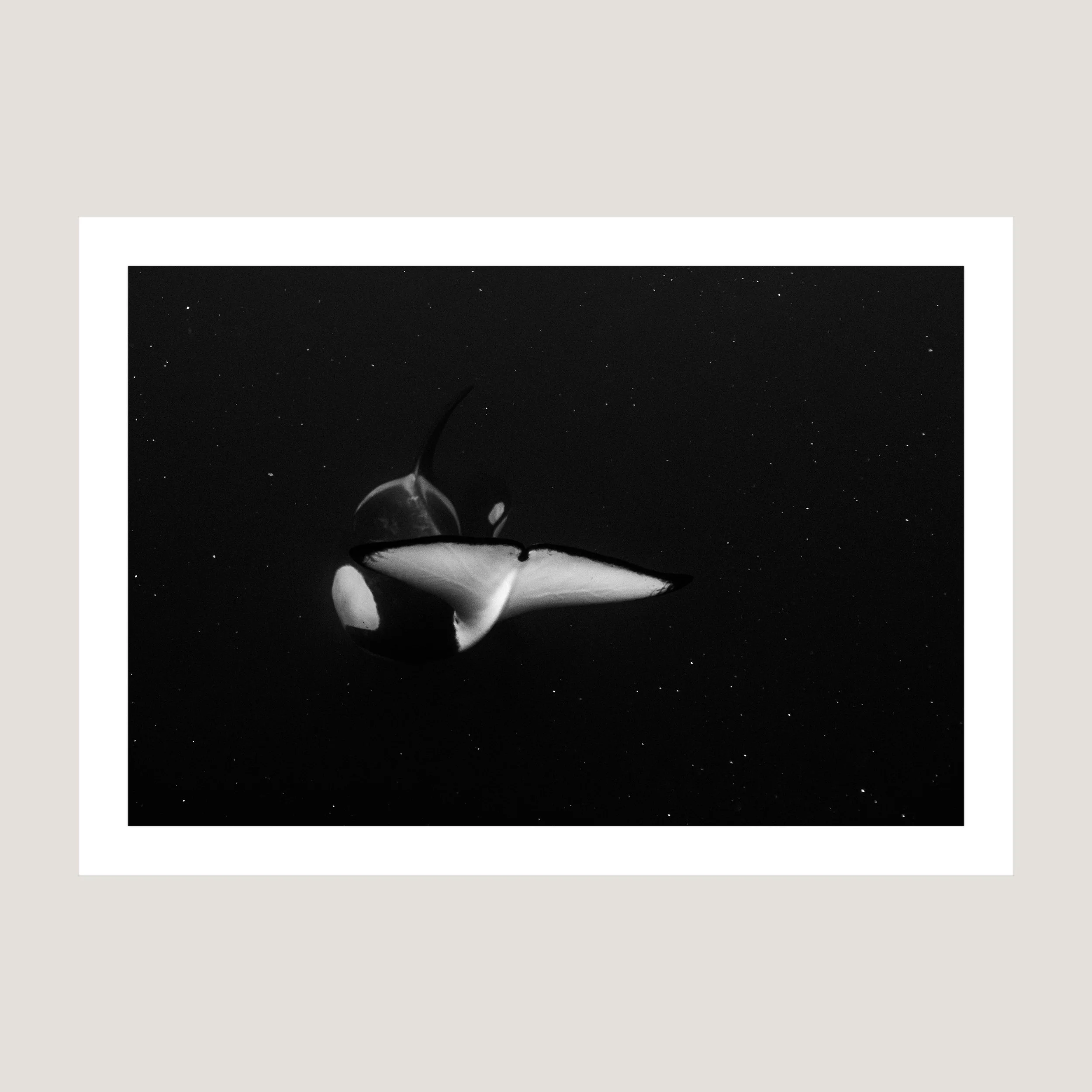 AnotherGalaxy_Print_only_1x1.jpg