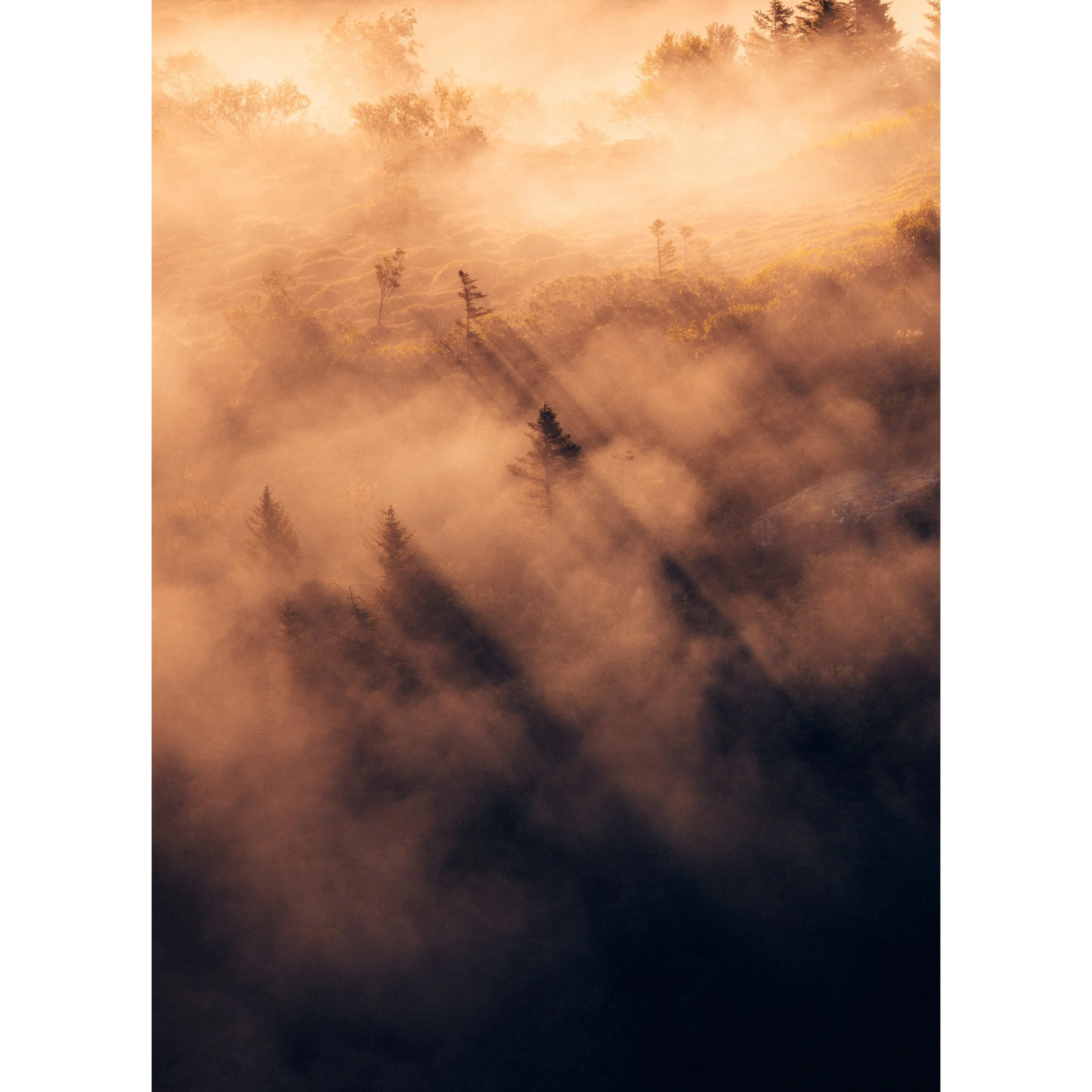 Solitude_Quadrat_weiss_13x18.jpg