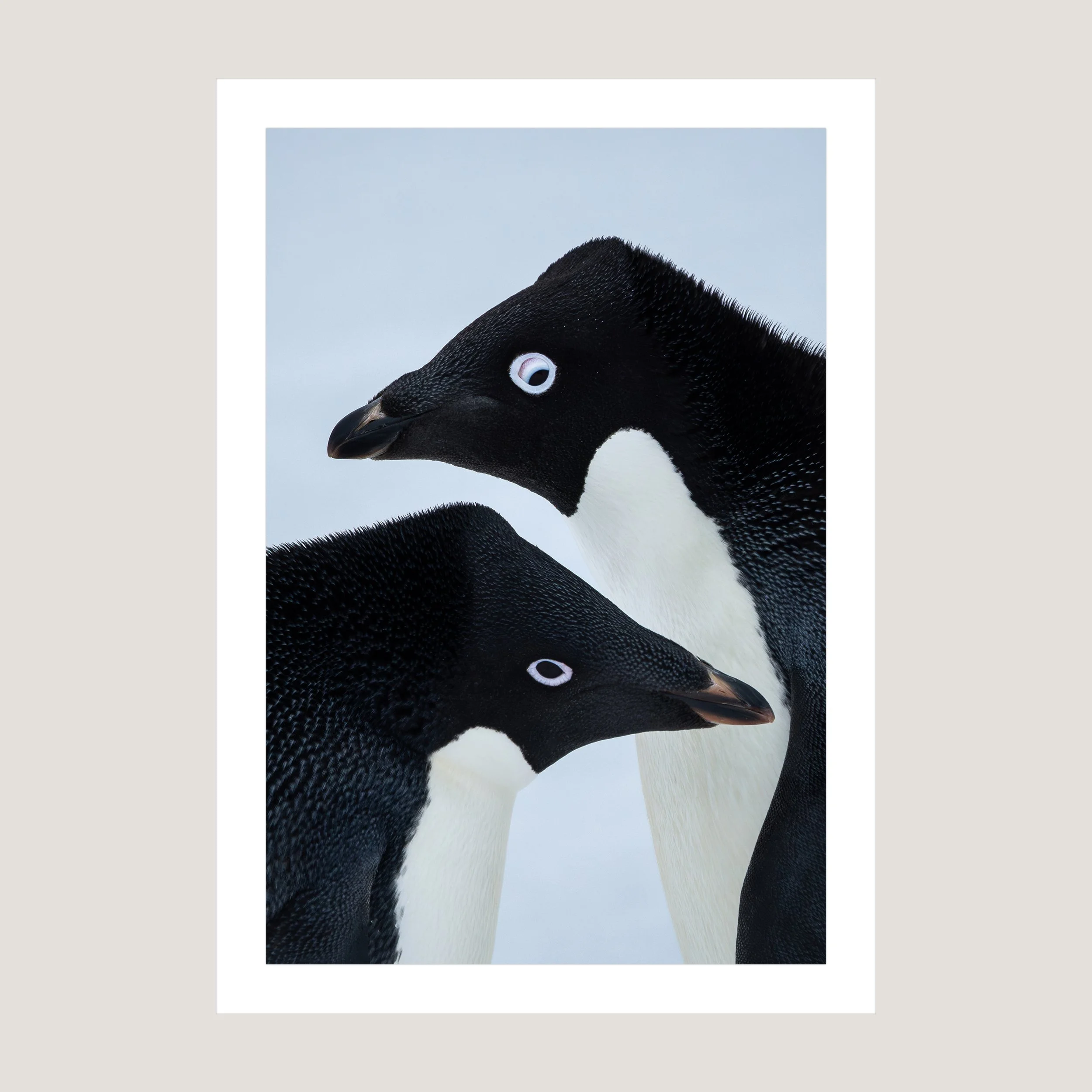 LoveBirds_Print_only_1x1.jpg